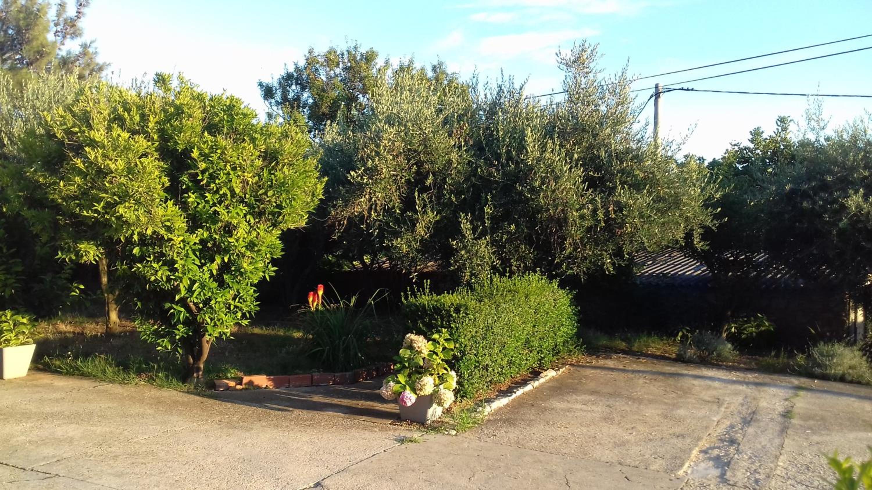 Photo 25