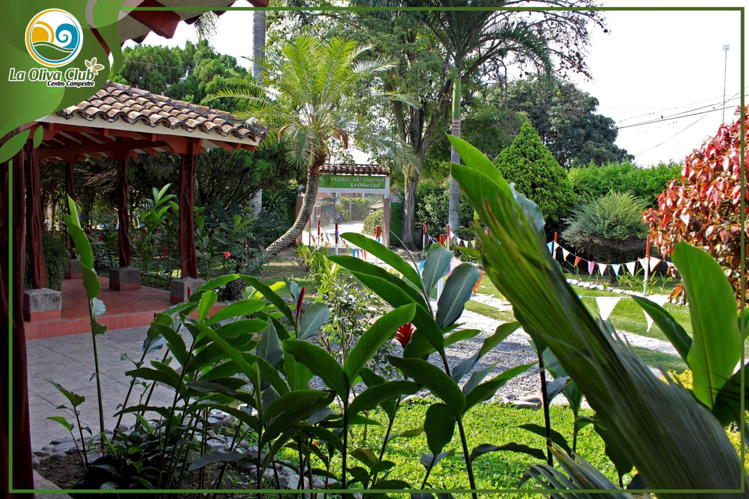 Photo 8