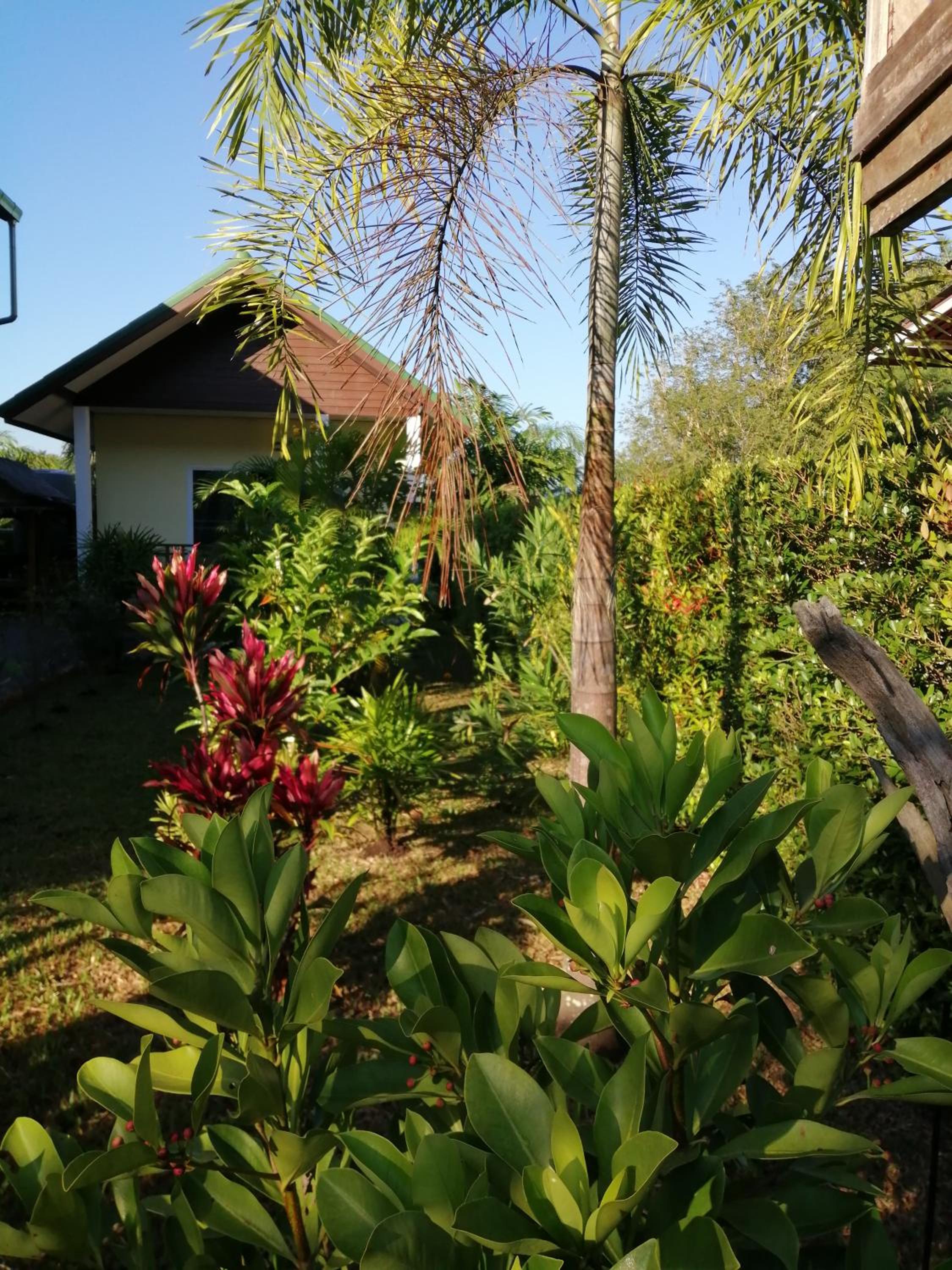 Bed & Breakfast To-Co