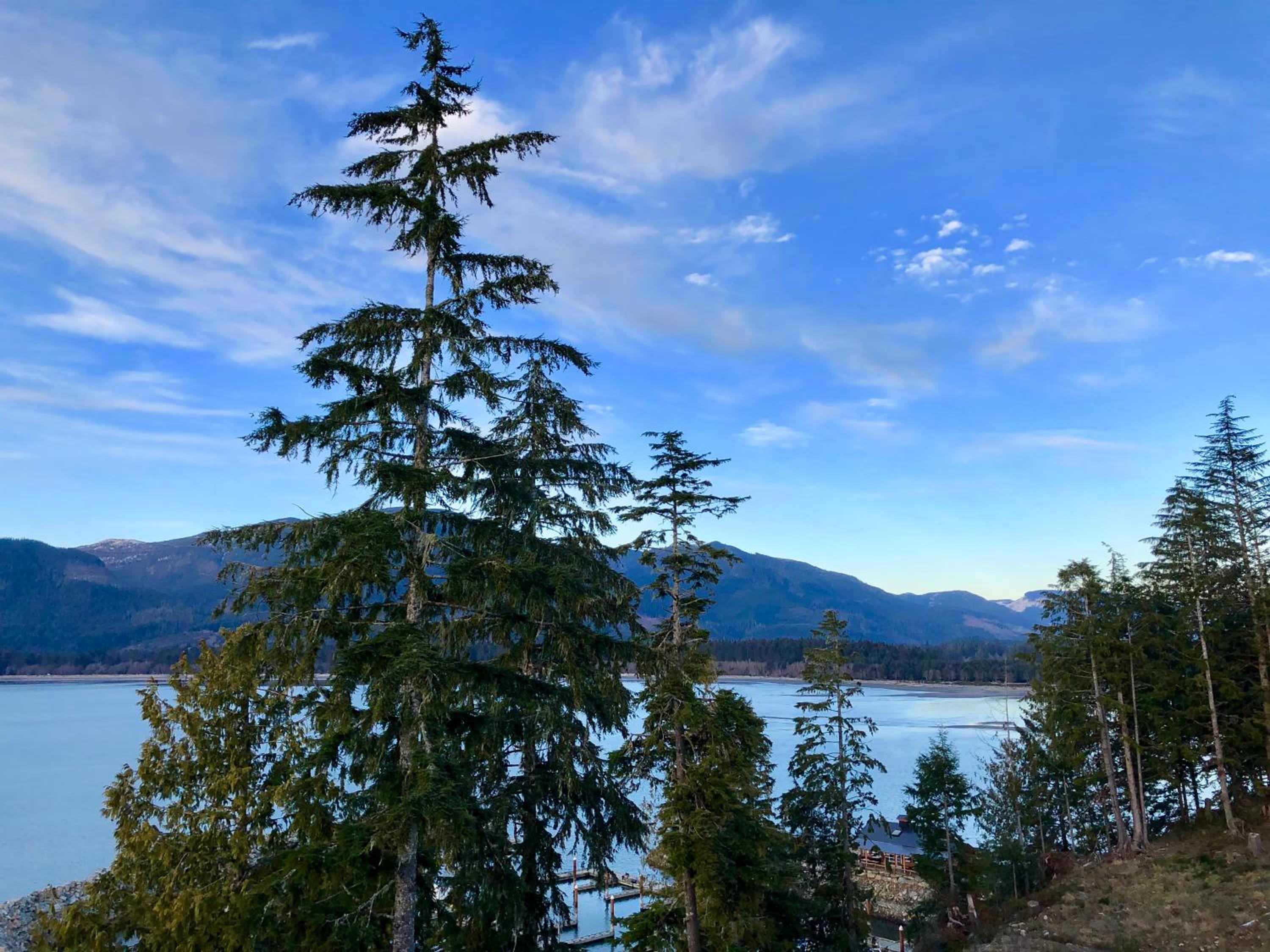 Port Renfrew Vacation Rentals