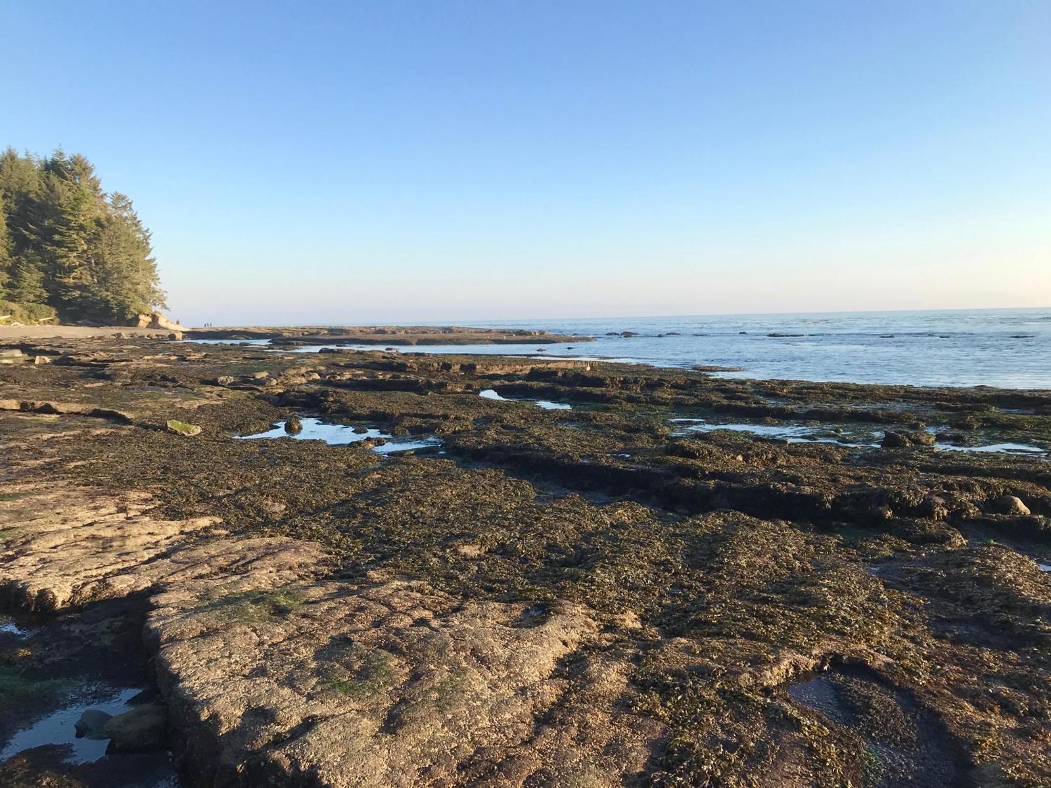 Port Renfrew Vacation Rentals