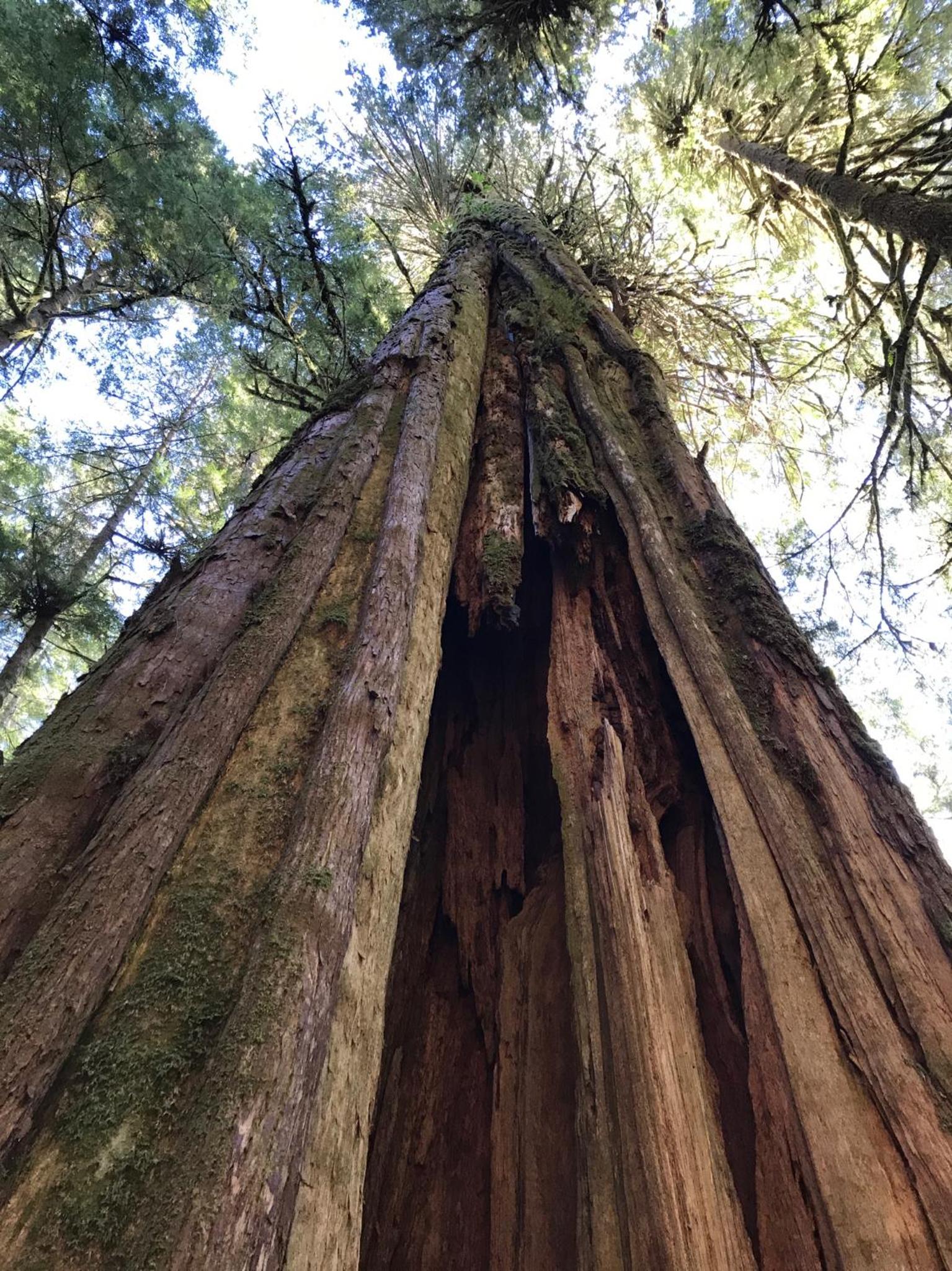 Port Renfrew Vacation Rentals