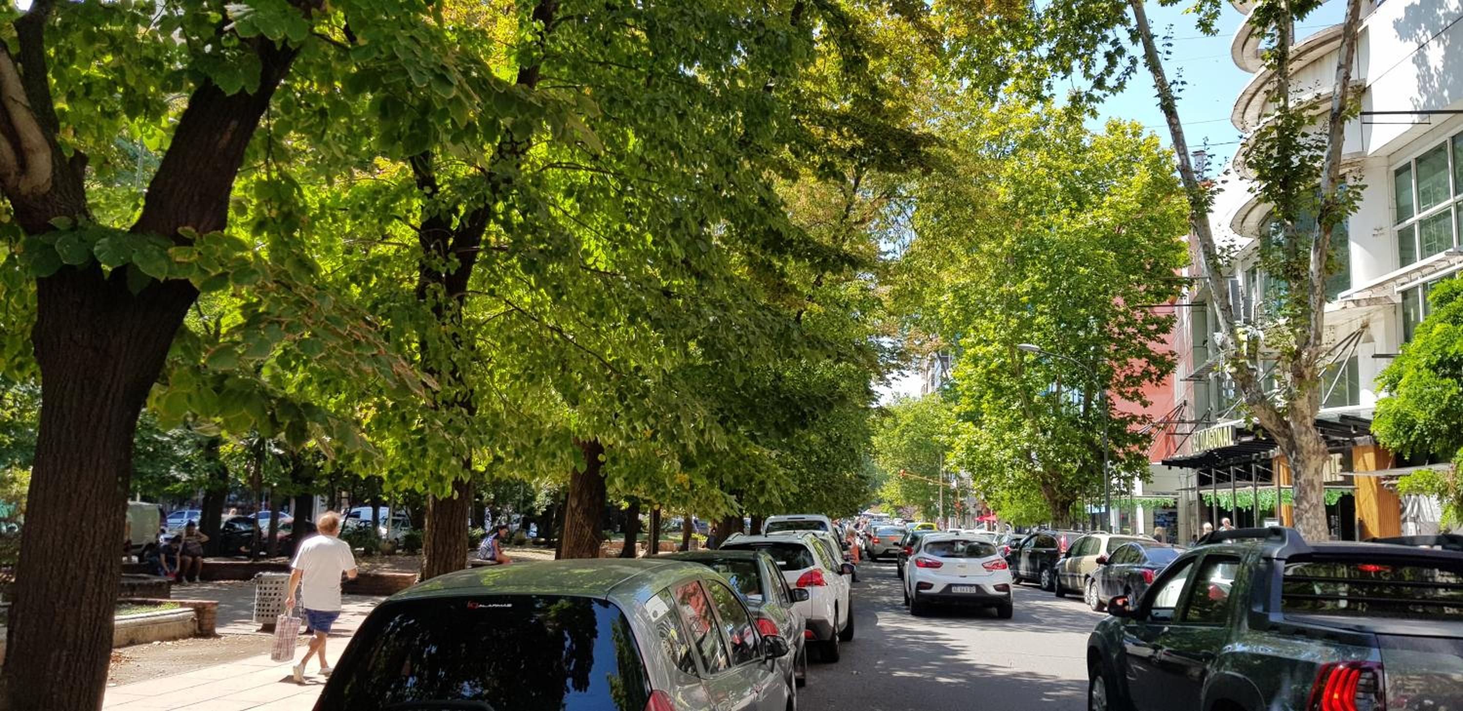 Un departamento de lujo en La Perla