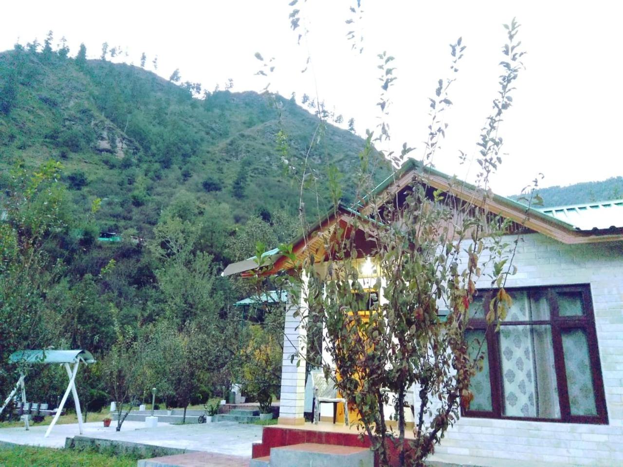 Photo 6