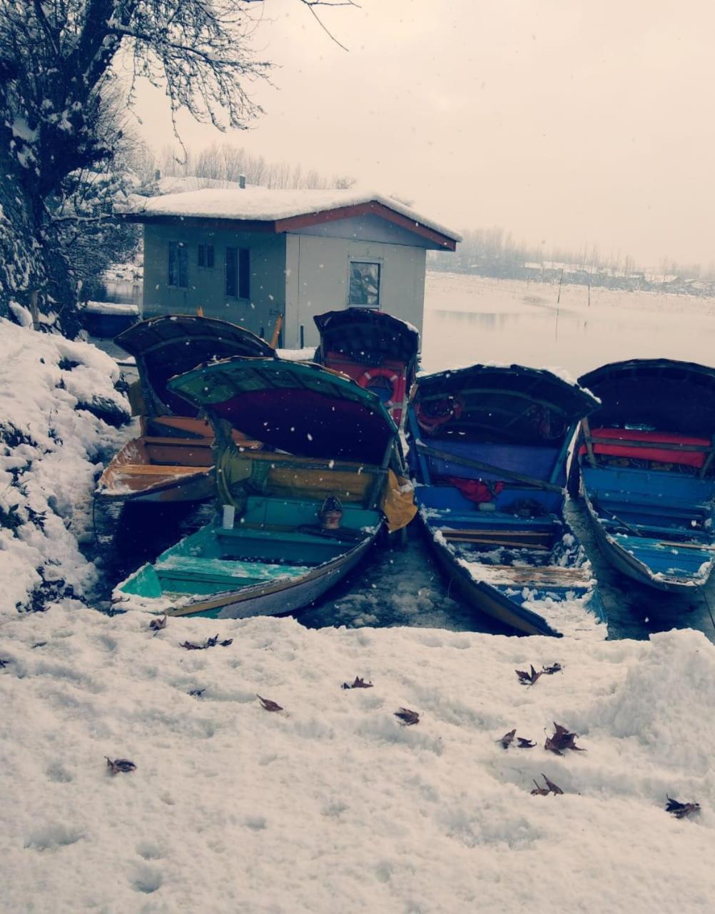 Kings Houseboats view 5