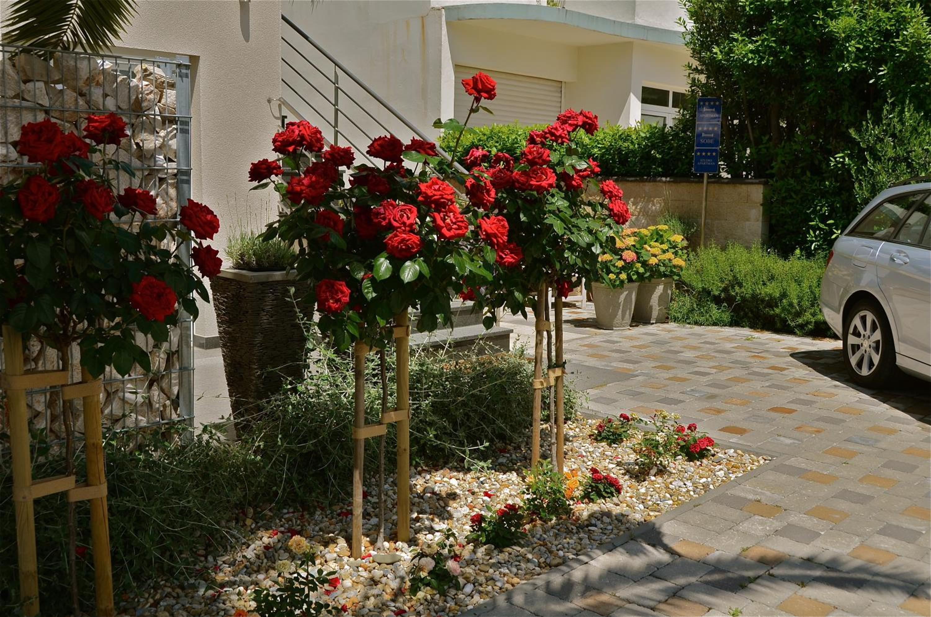 Villa Diana Zadar