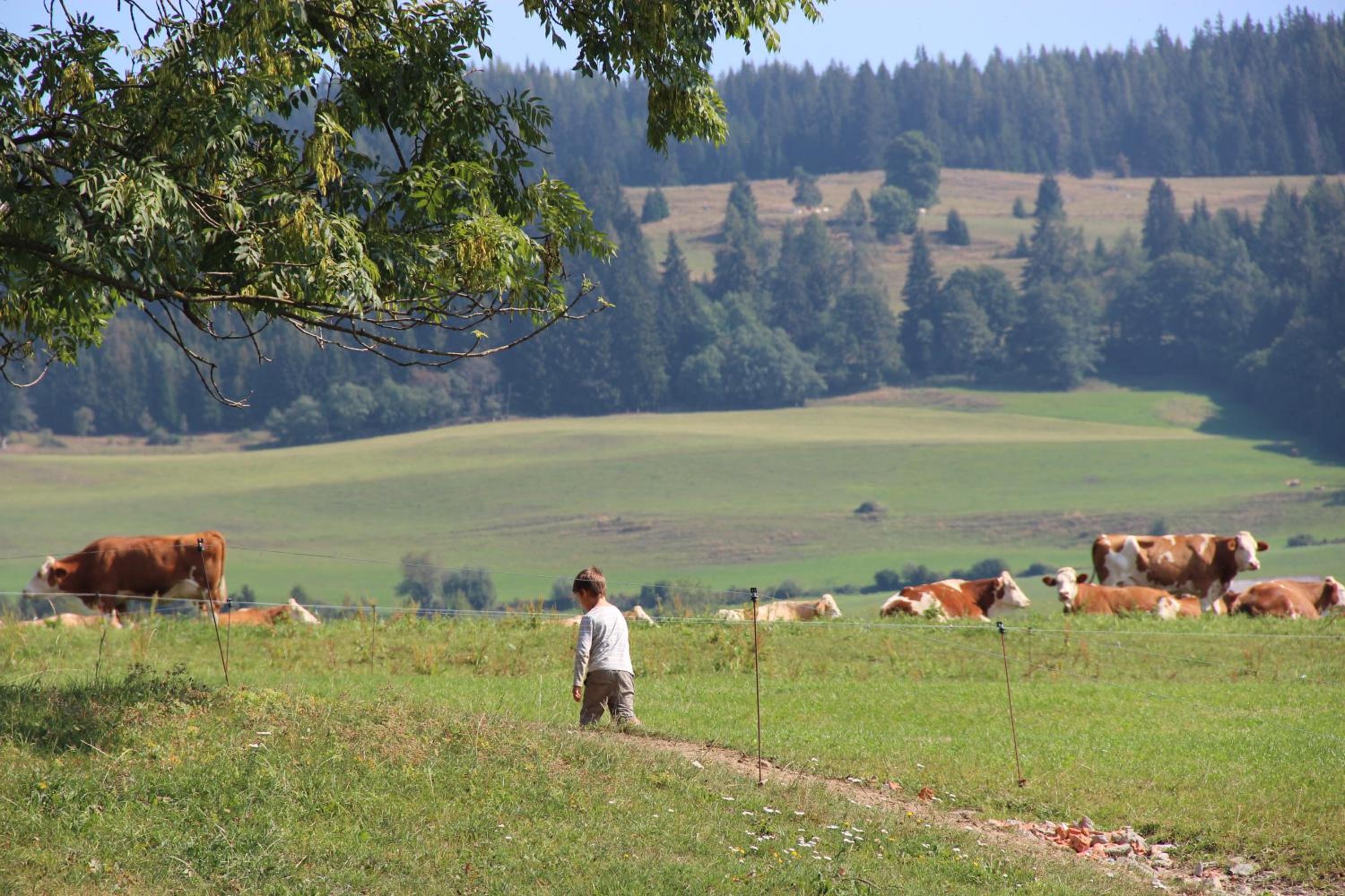Naturpark Bauernhof Sperl