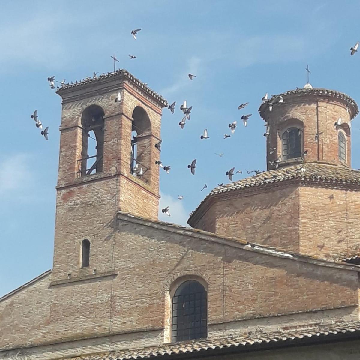 Photo 36