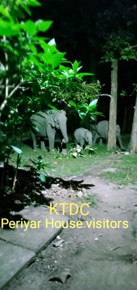 KTDC Periyar House view 3