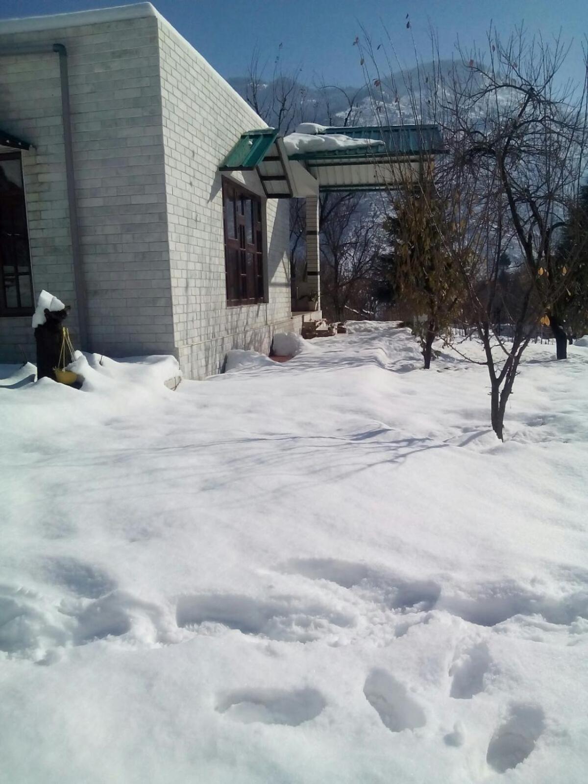 Photo 19