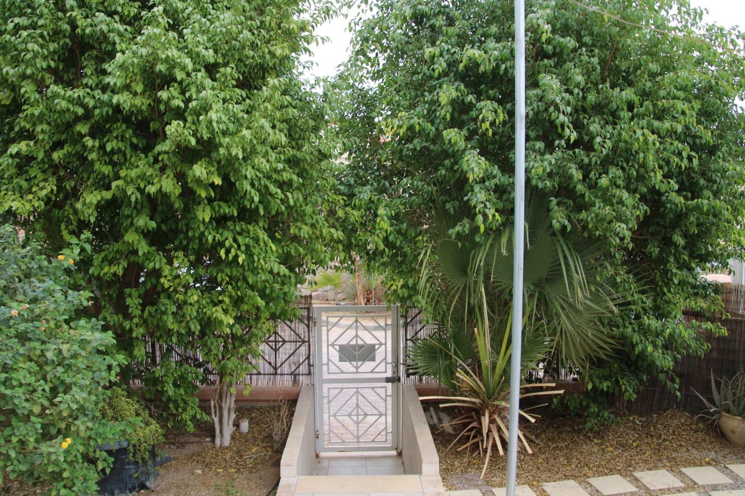 Photo 19