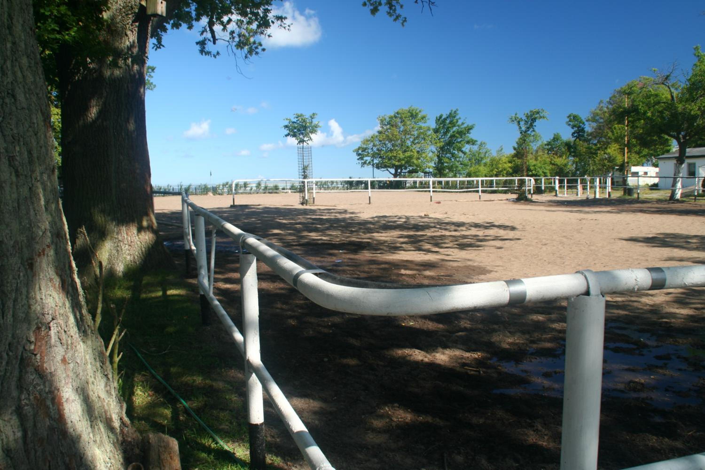 Agroturystyka Stajnia Horyzont view 5