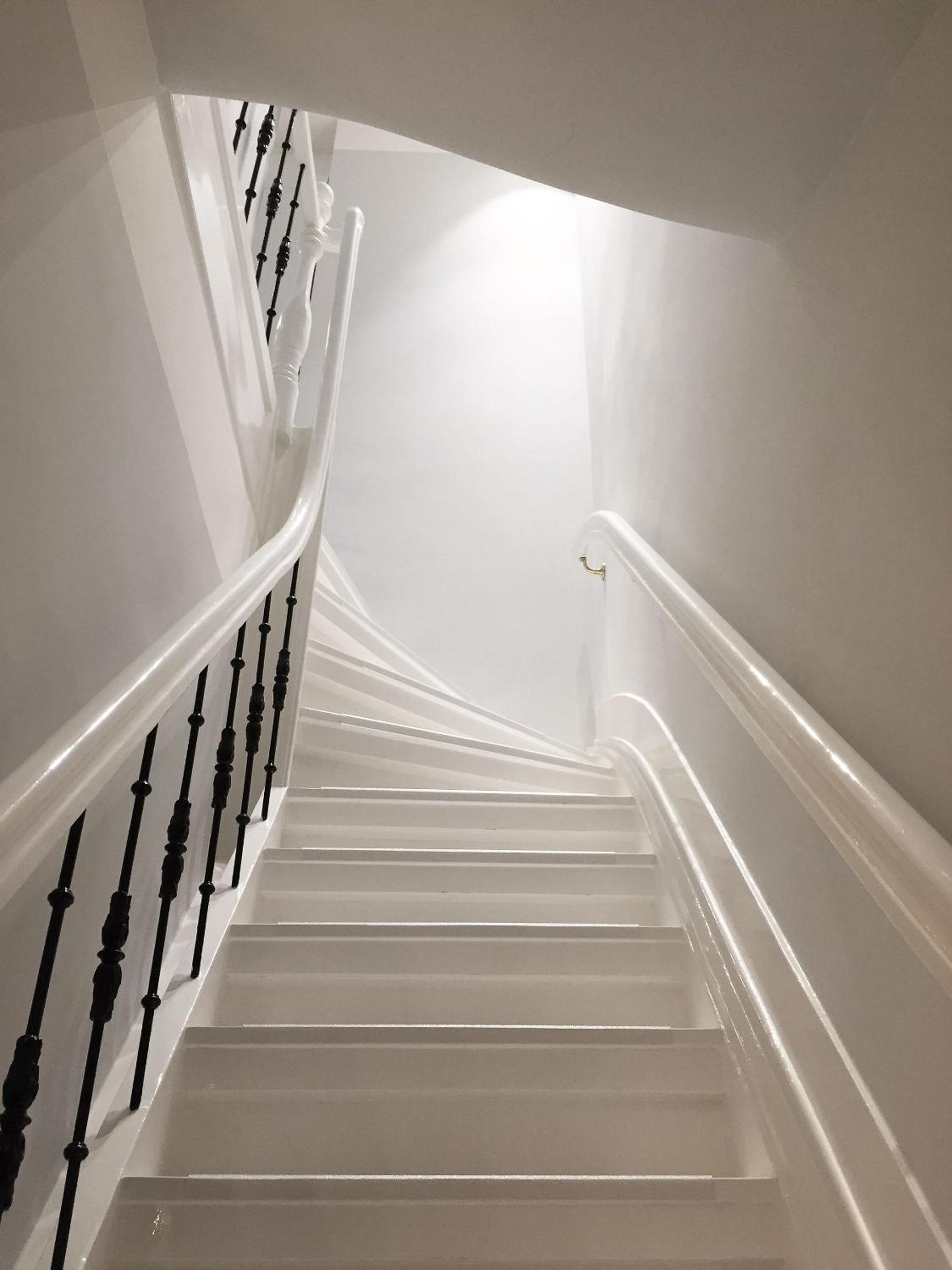 Spinoza Suites