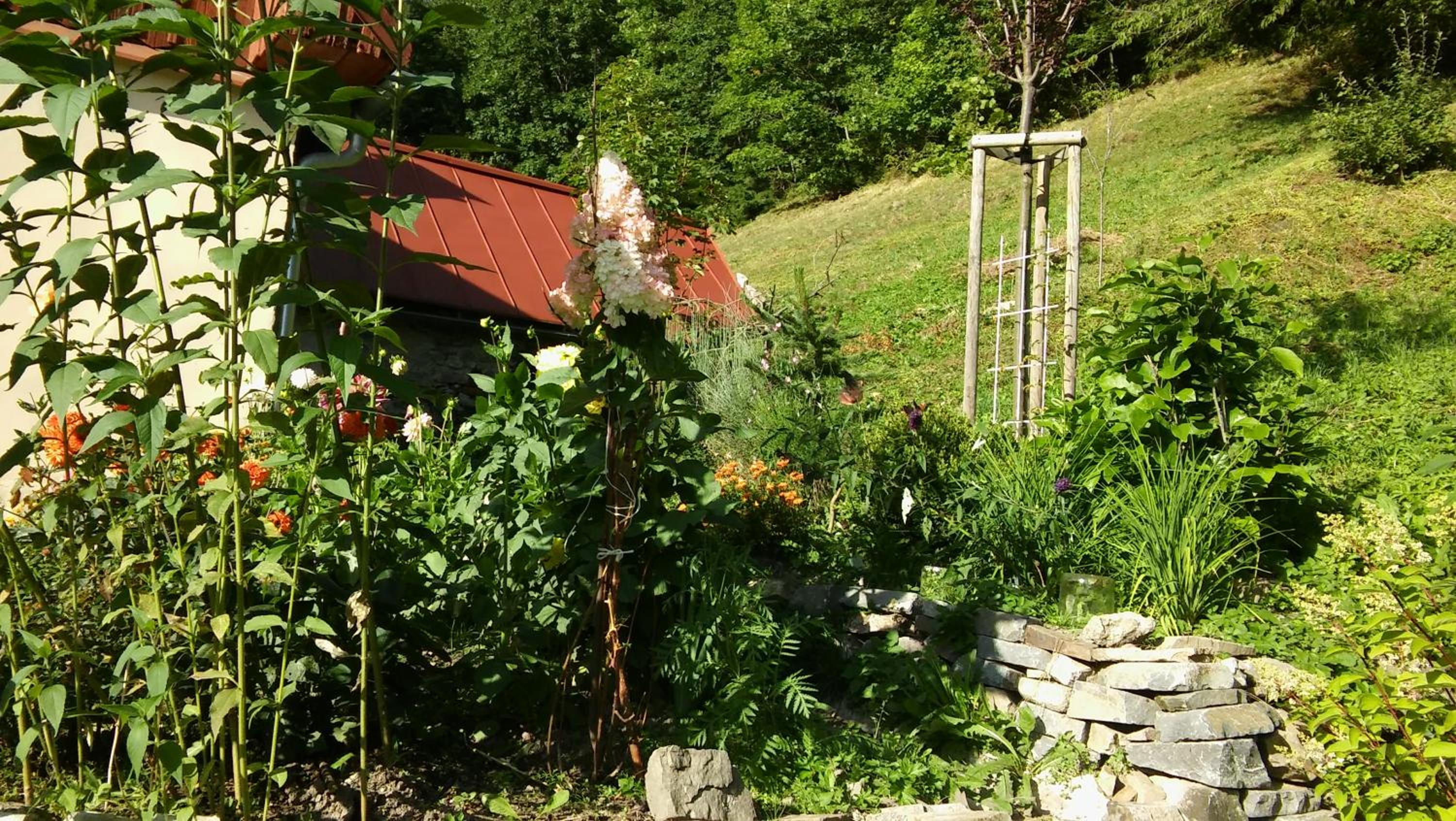 Photo 29
