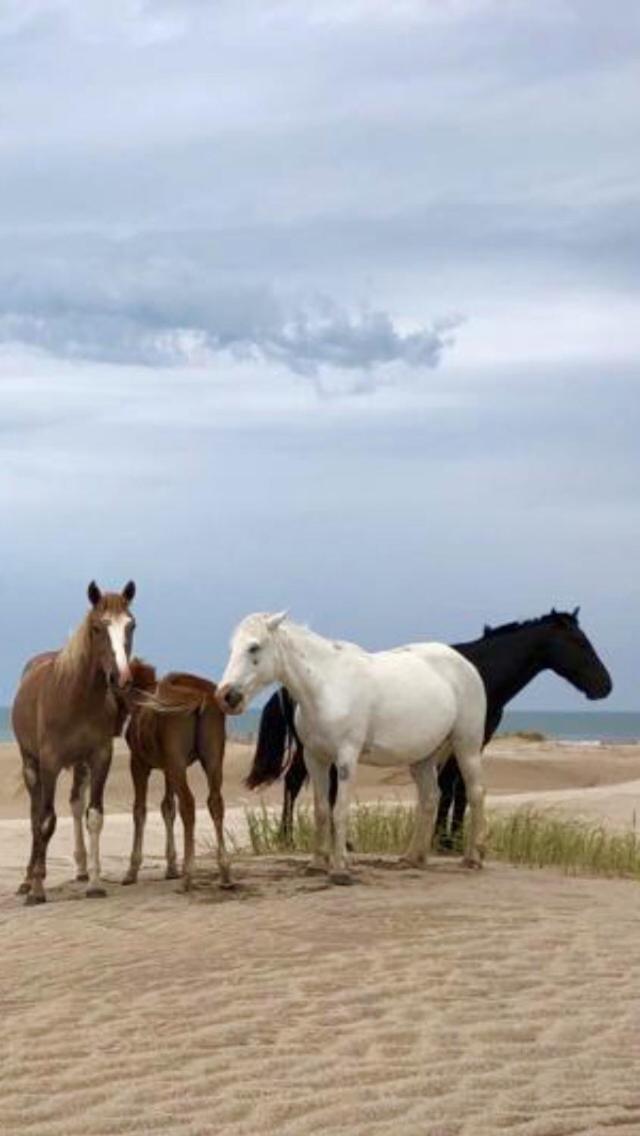 Chacras del Mar