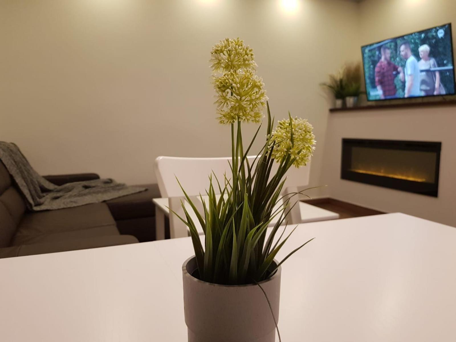 PM Apartament view 3