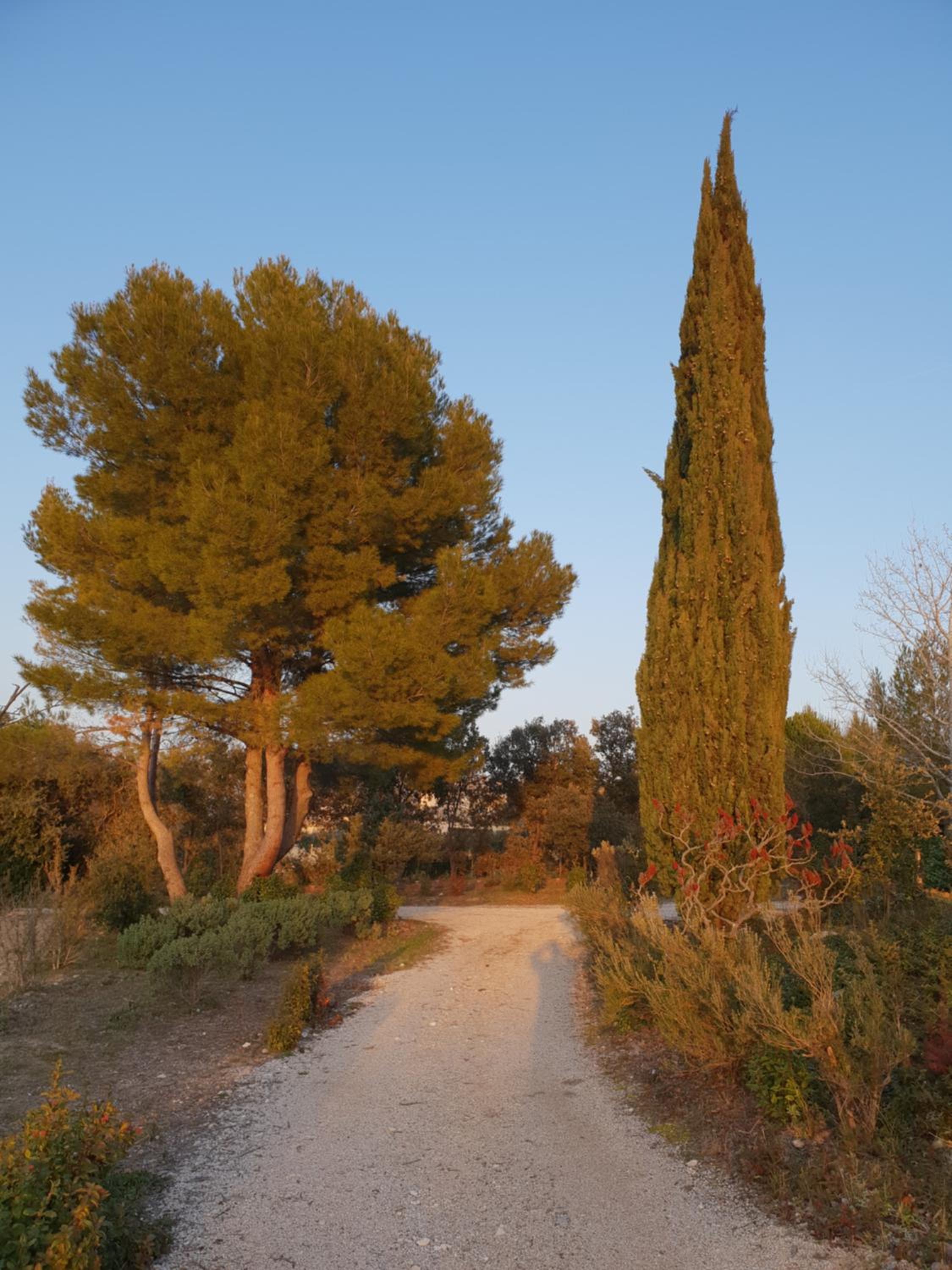 Photo 45