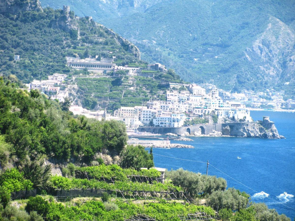 Agriturismo il Pettirosso