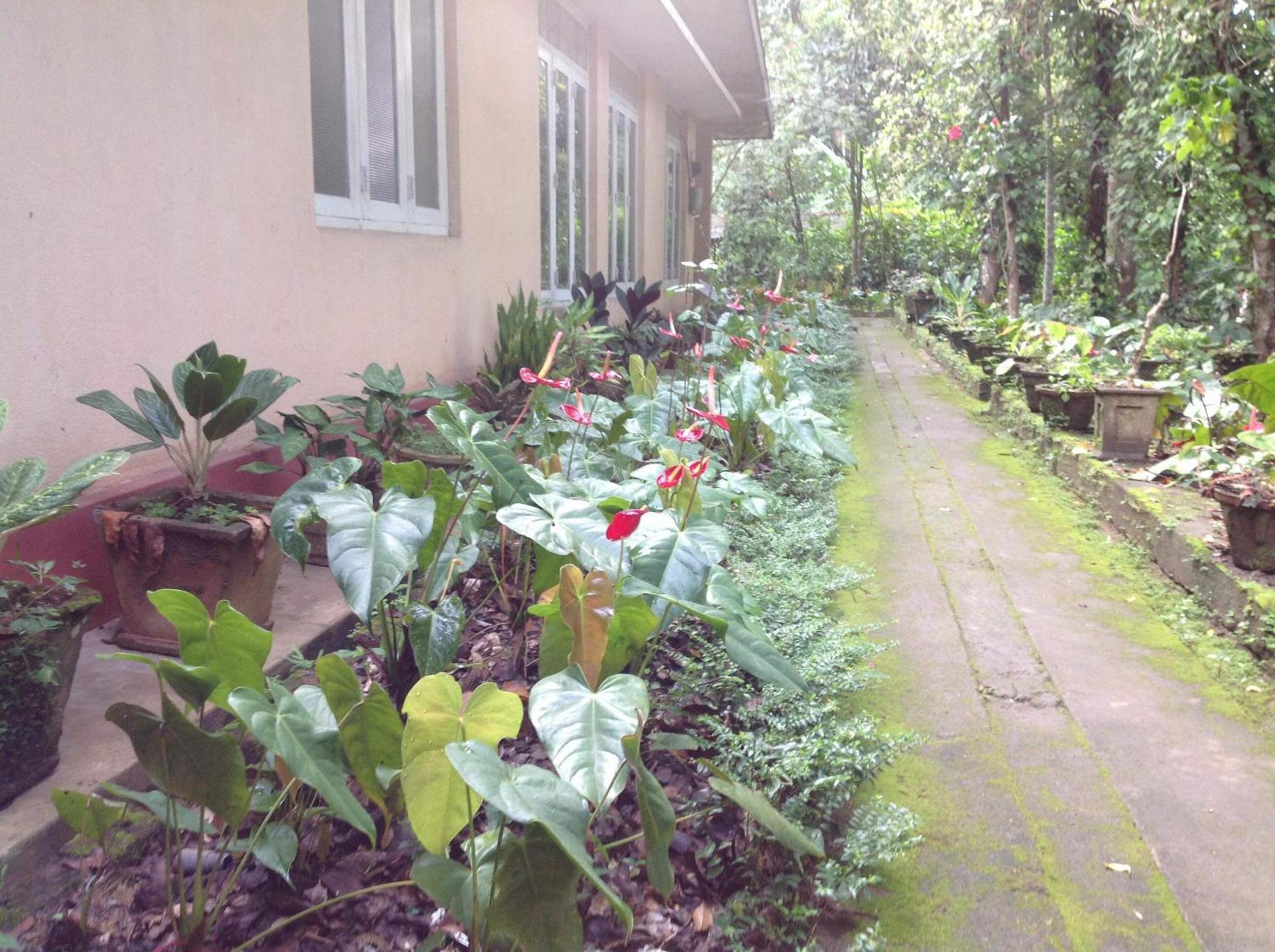 Photo 46