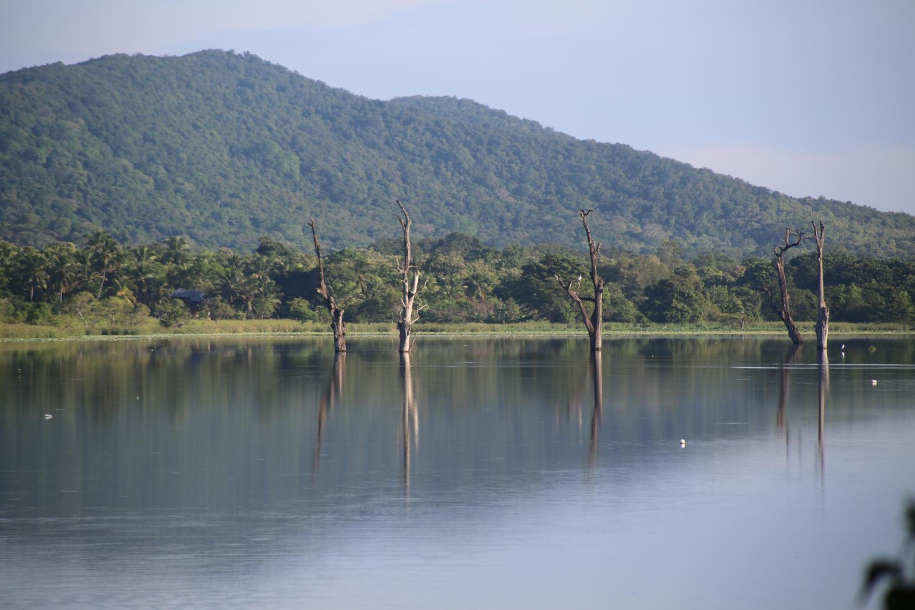 Lake Bliss view 5