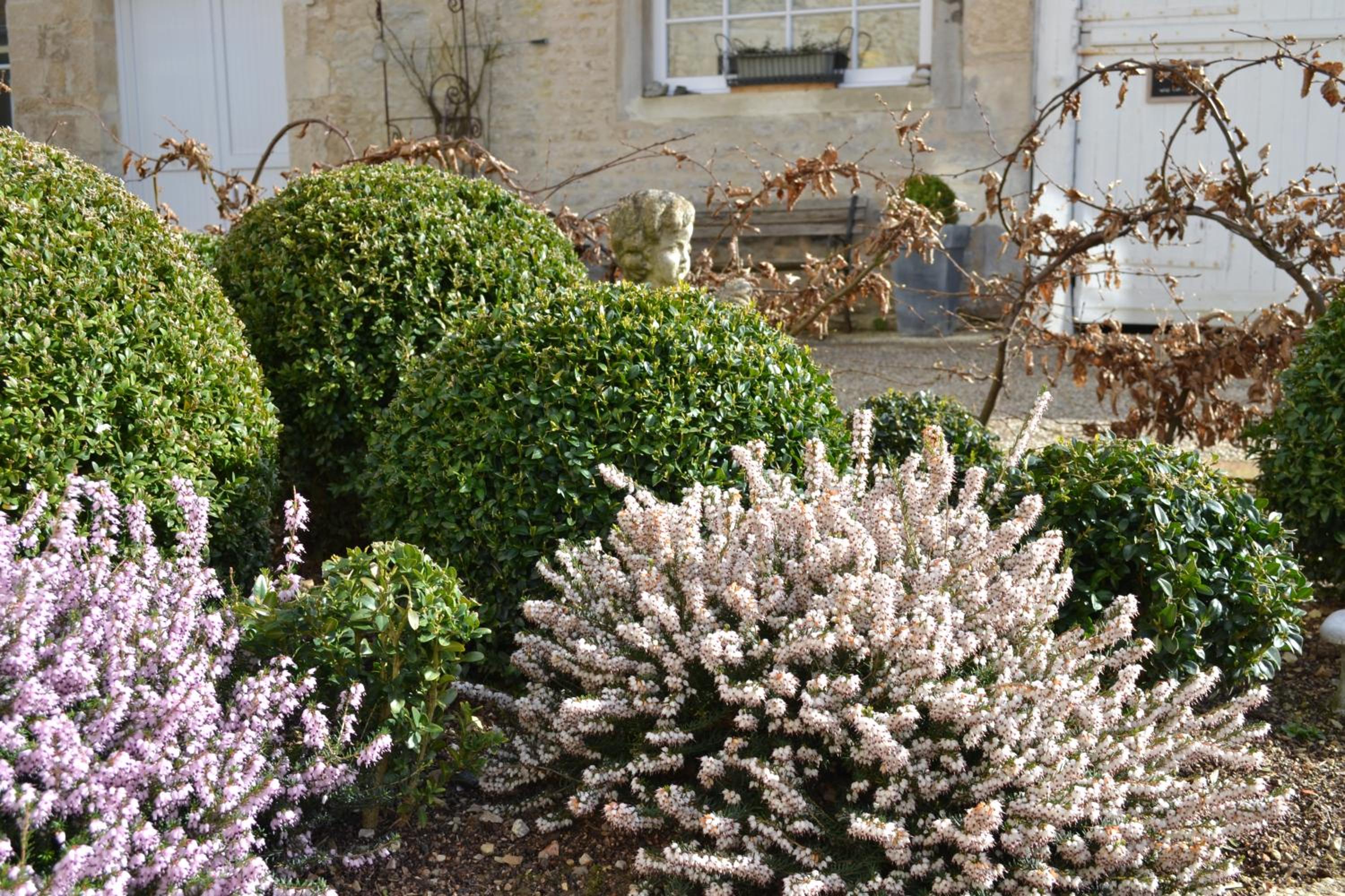 La Maison Des Buis