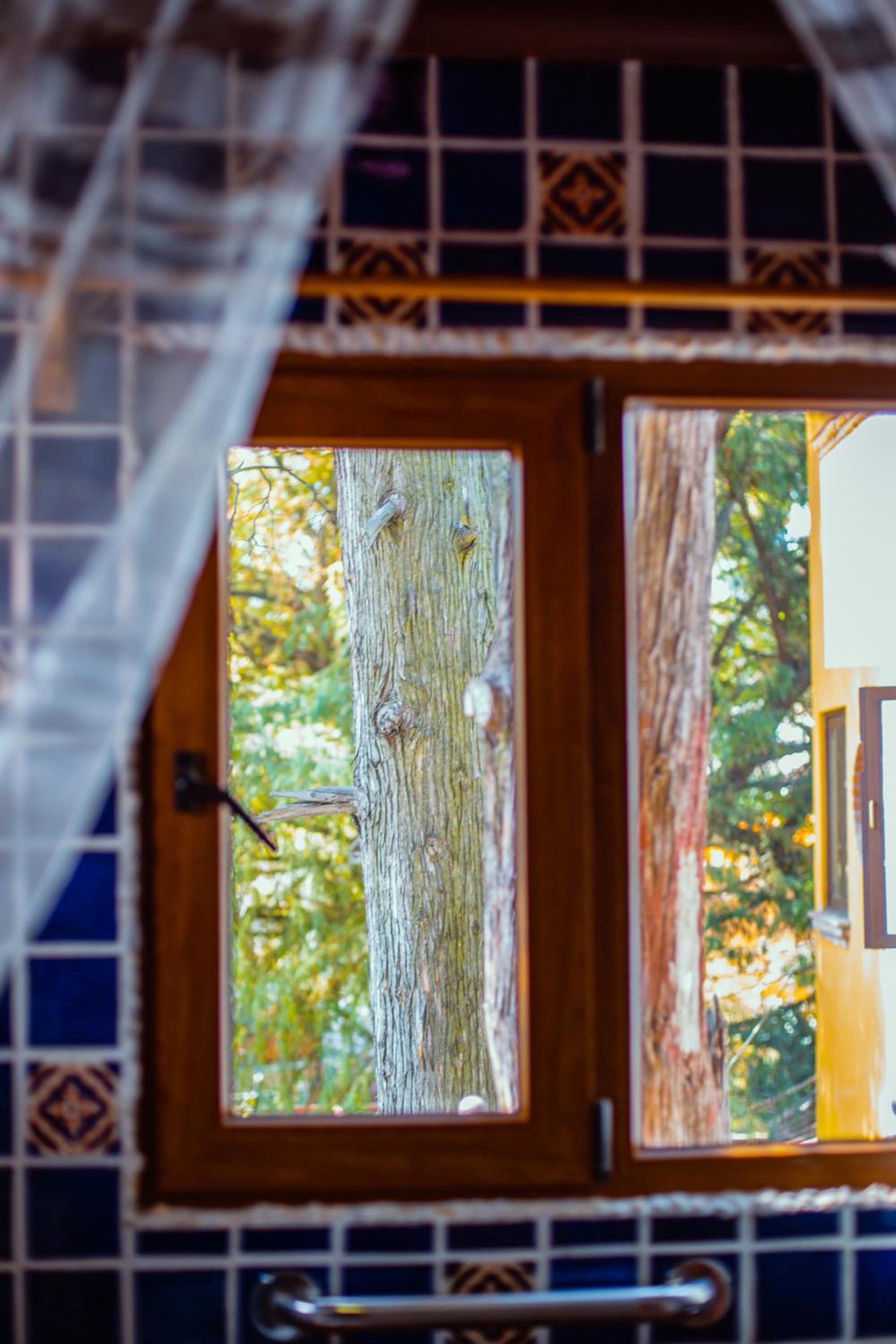 Casa Jacinta Guest House