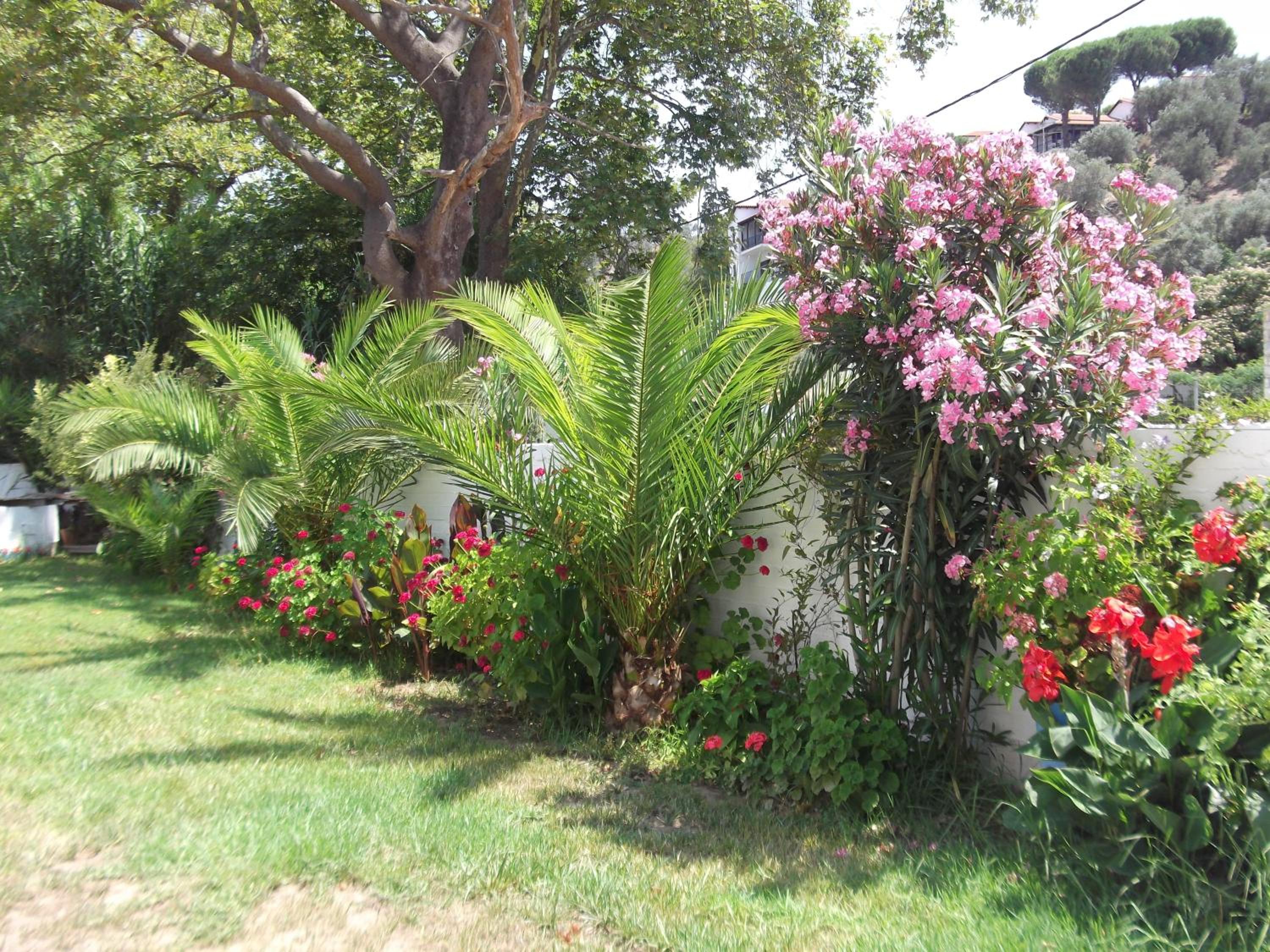 Photo 28