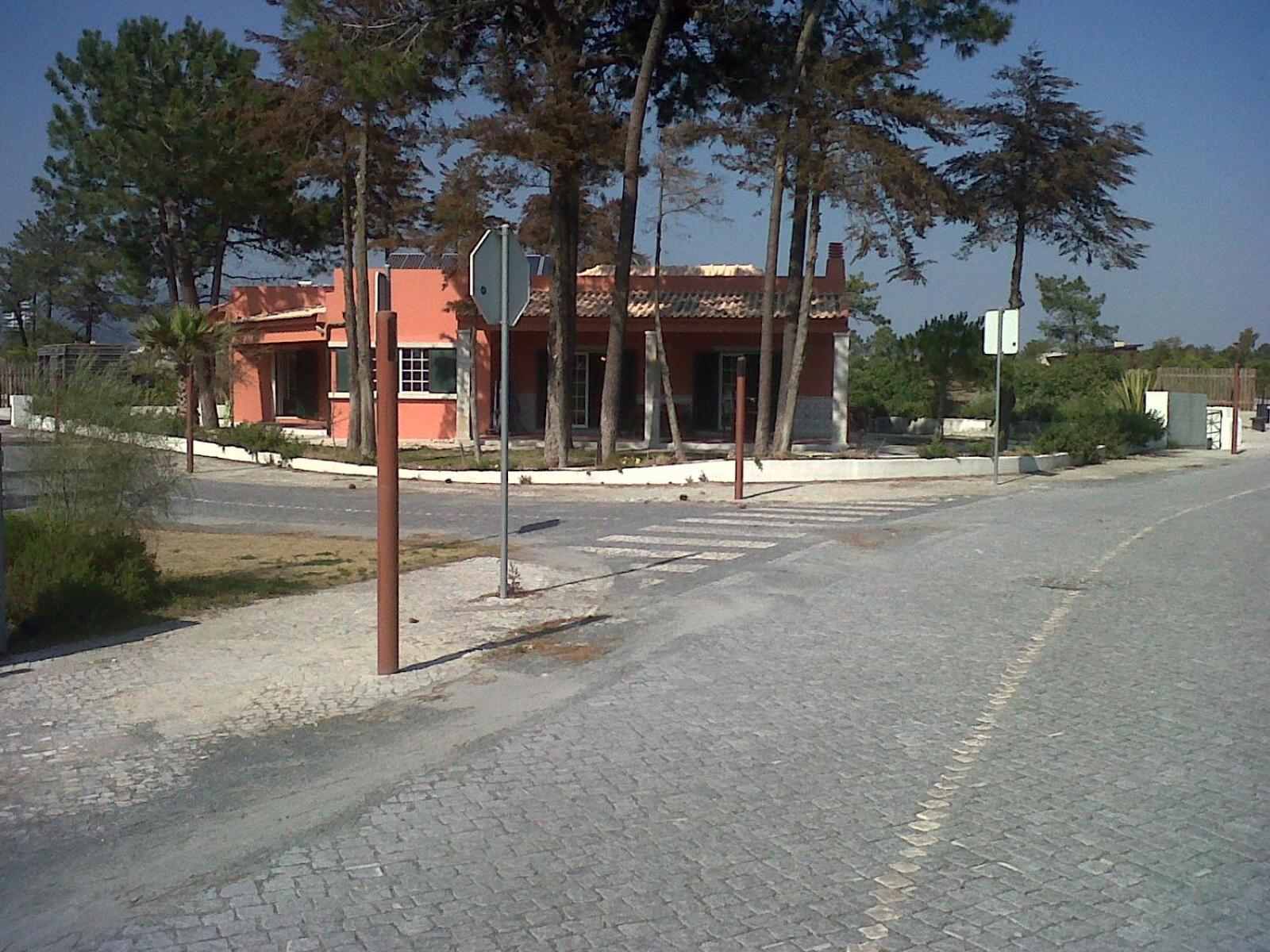Photo 42