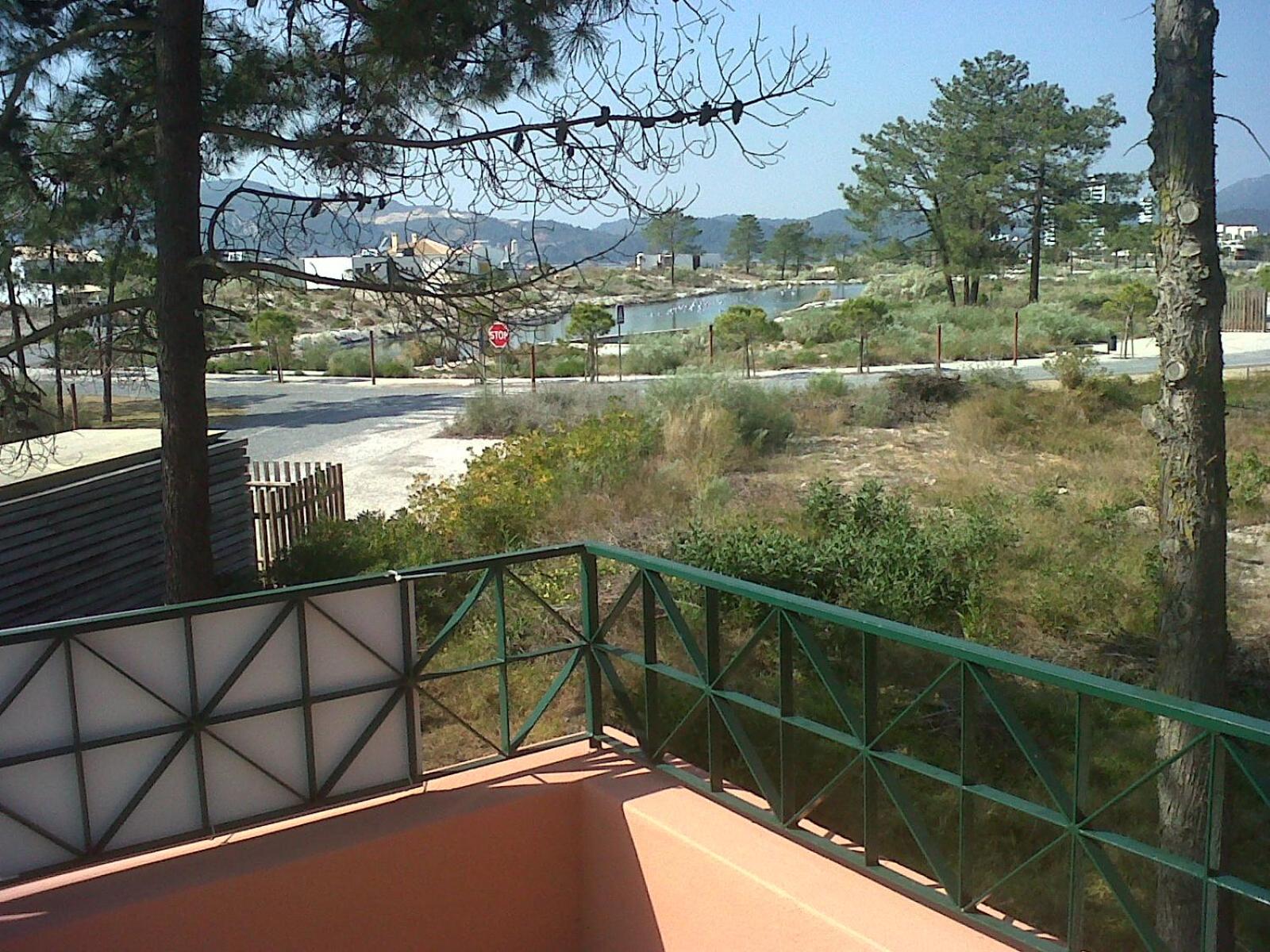 Photo 46