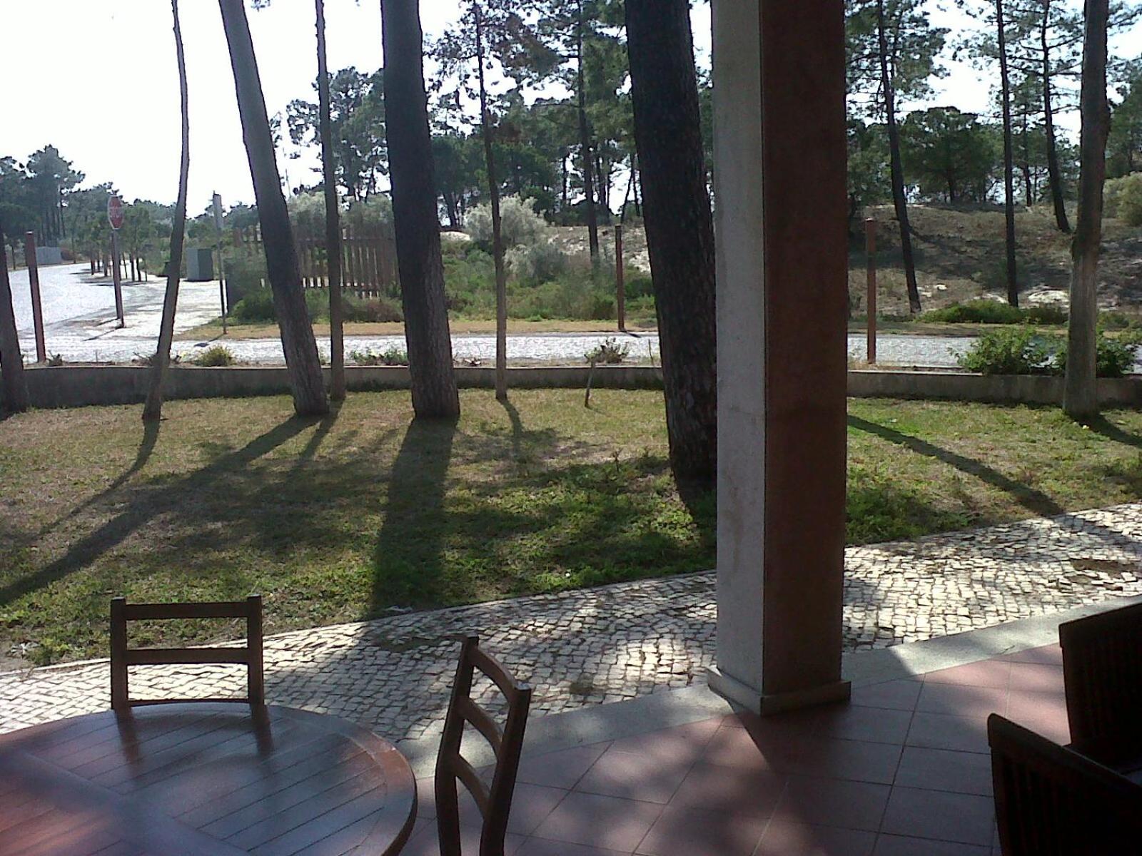 Photo 47