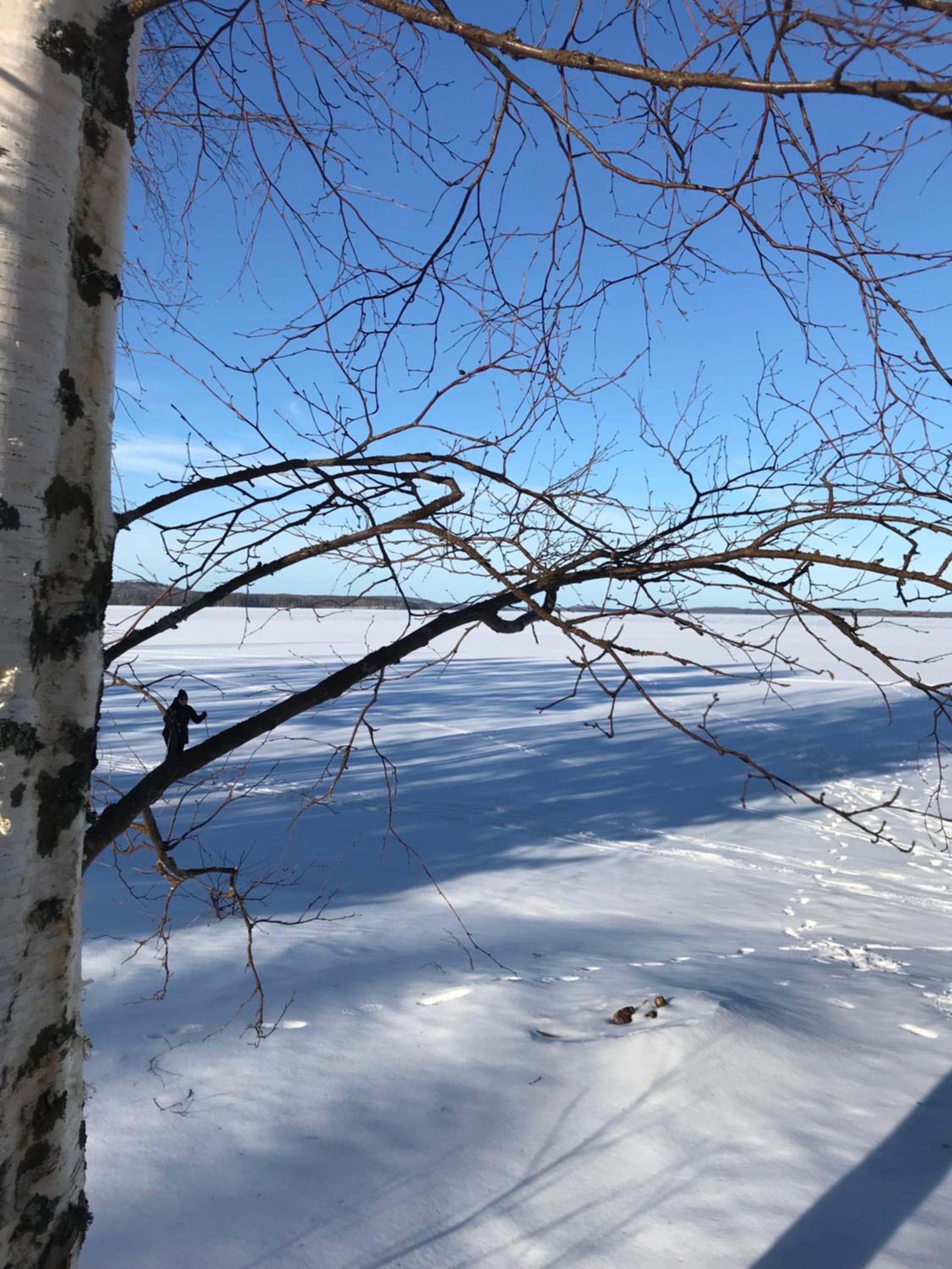 Photo 41