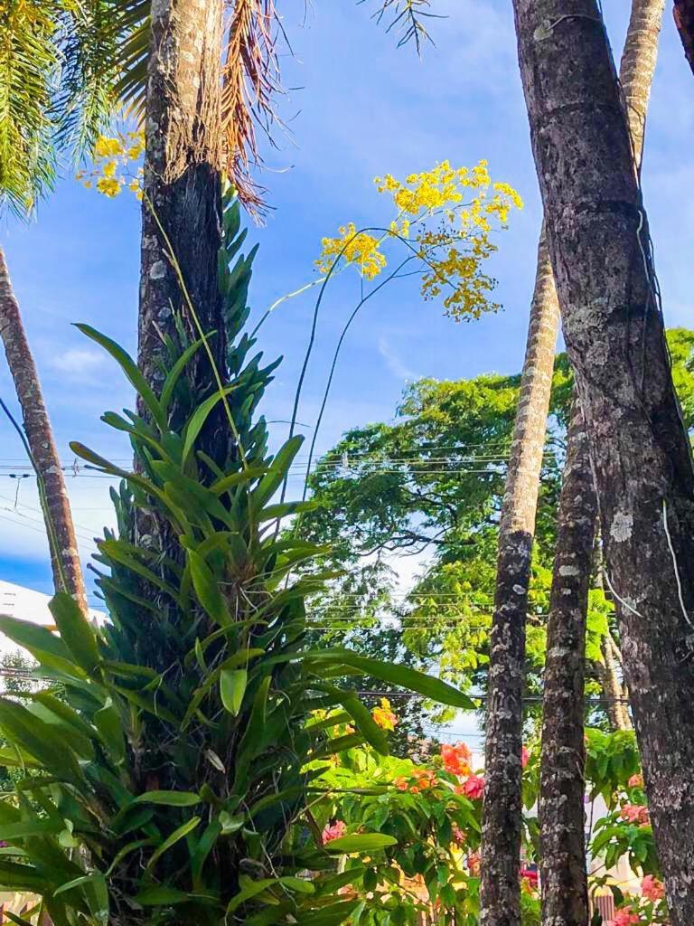 Casa para sua Família, espaçosa