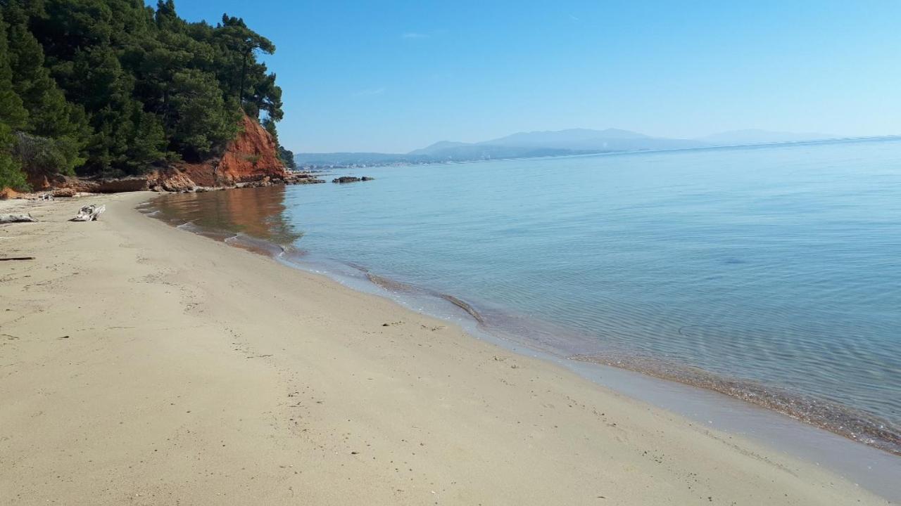 Sithonia Alekos Luxury Experience view 3