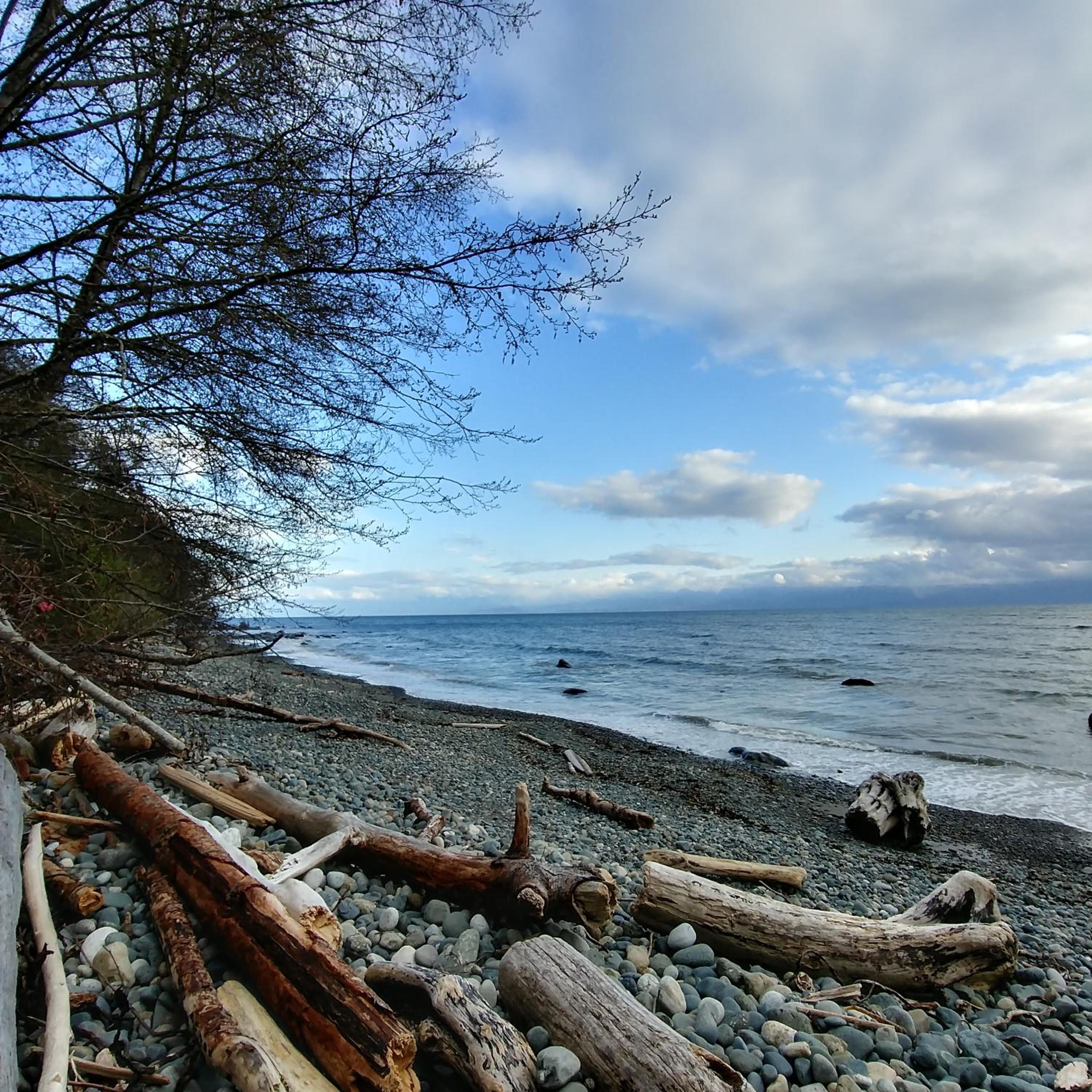 Ocean Wilderness Inn view 5