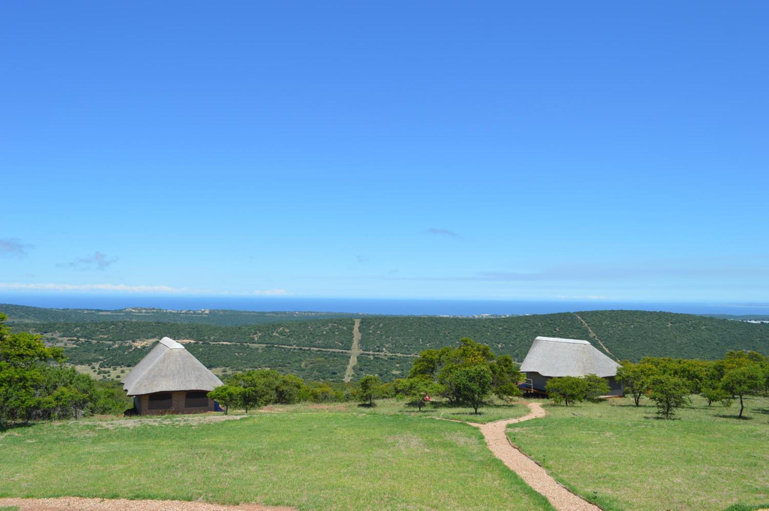 Jbay Zebra Lodge