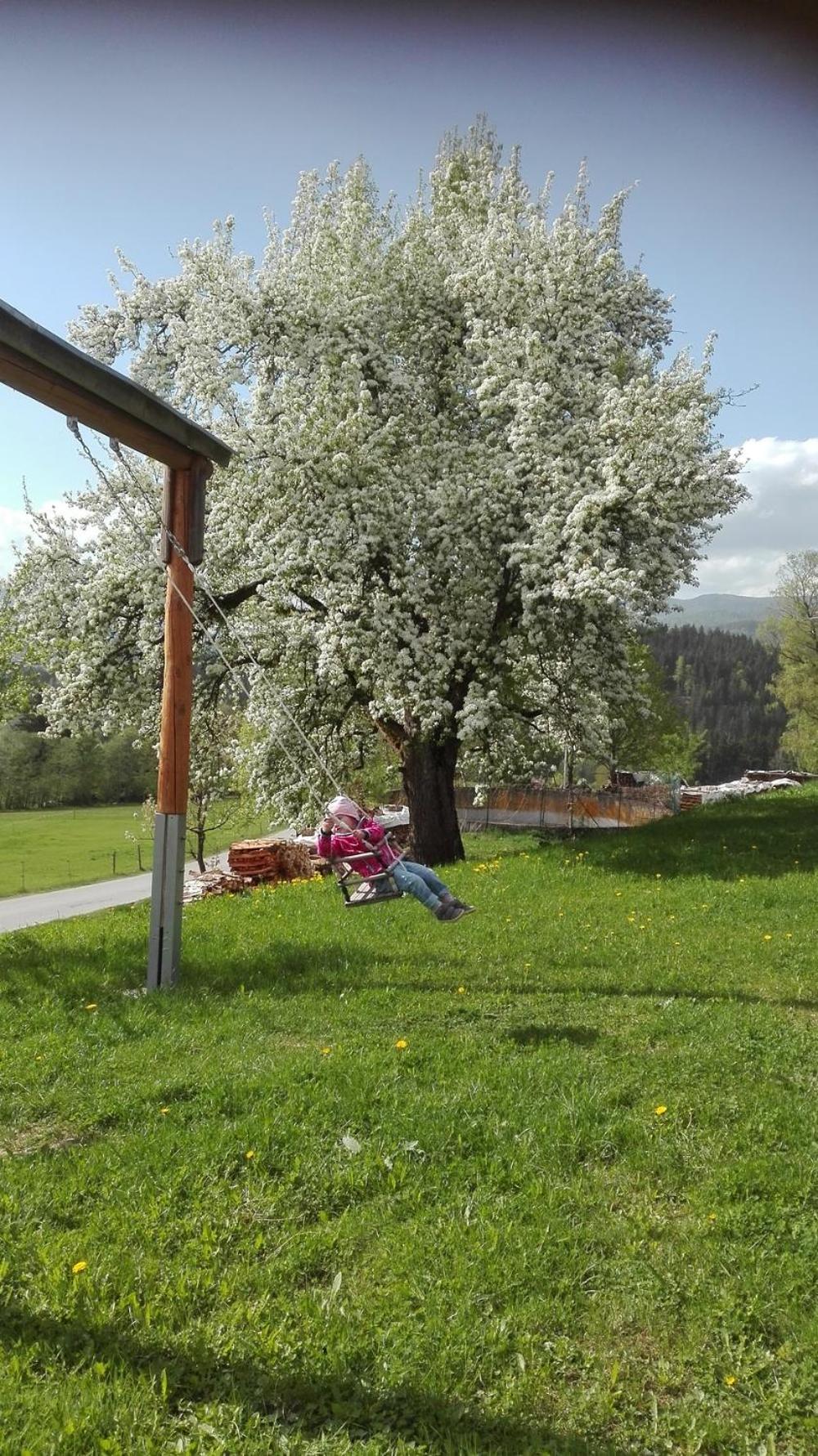 Familienferienhof Kroner view 2