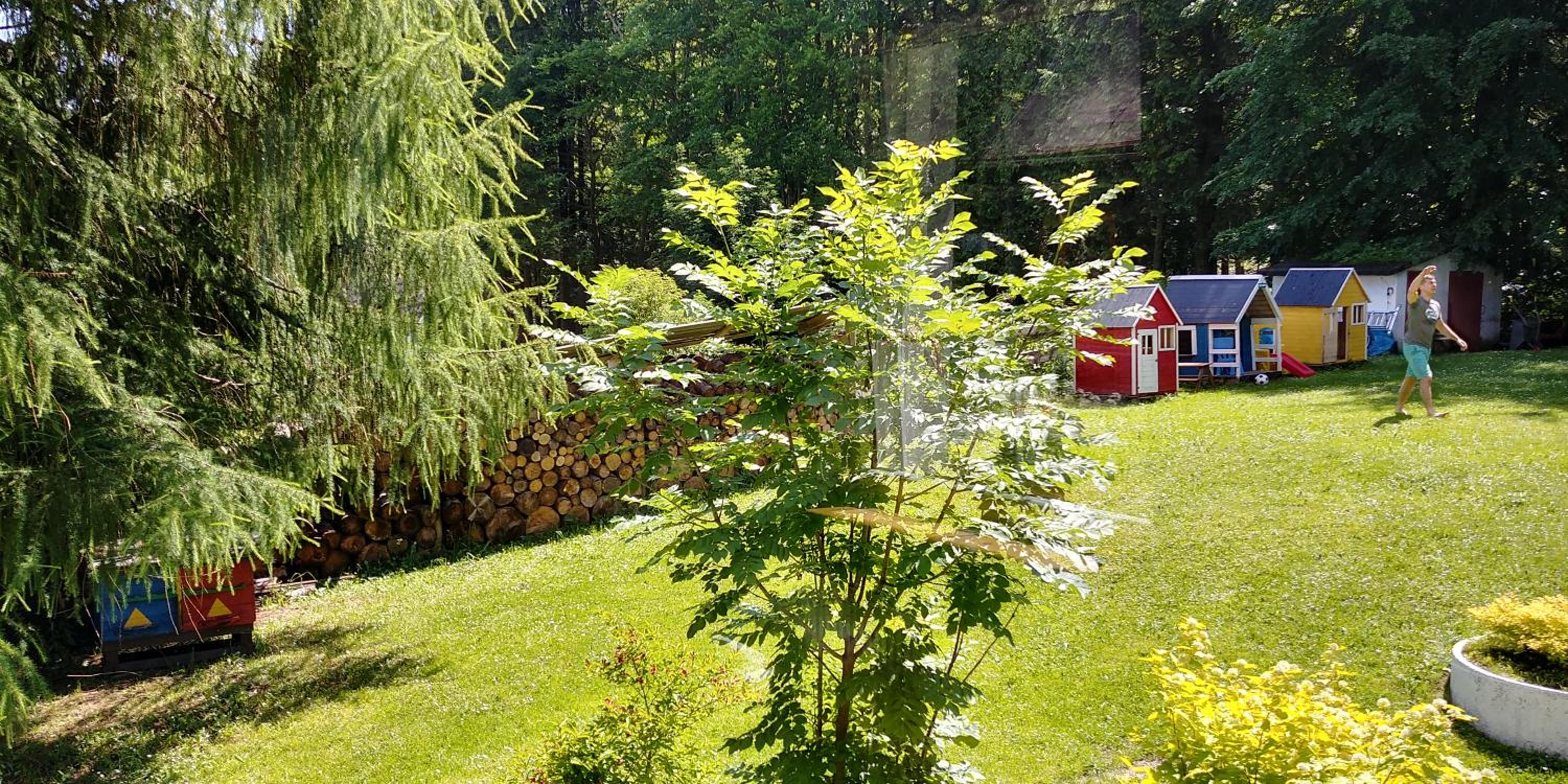 Leśne Apartamenty