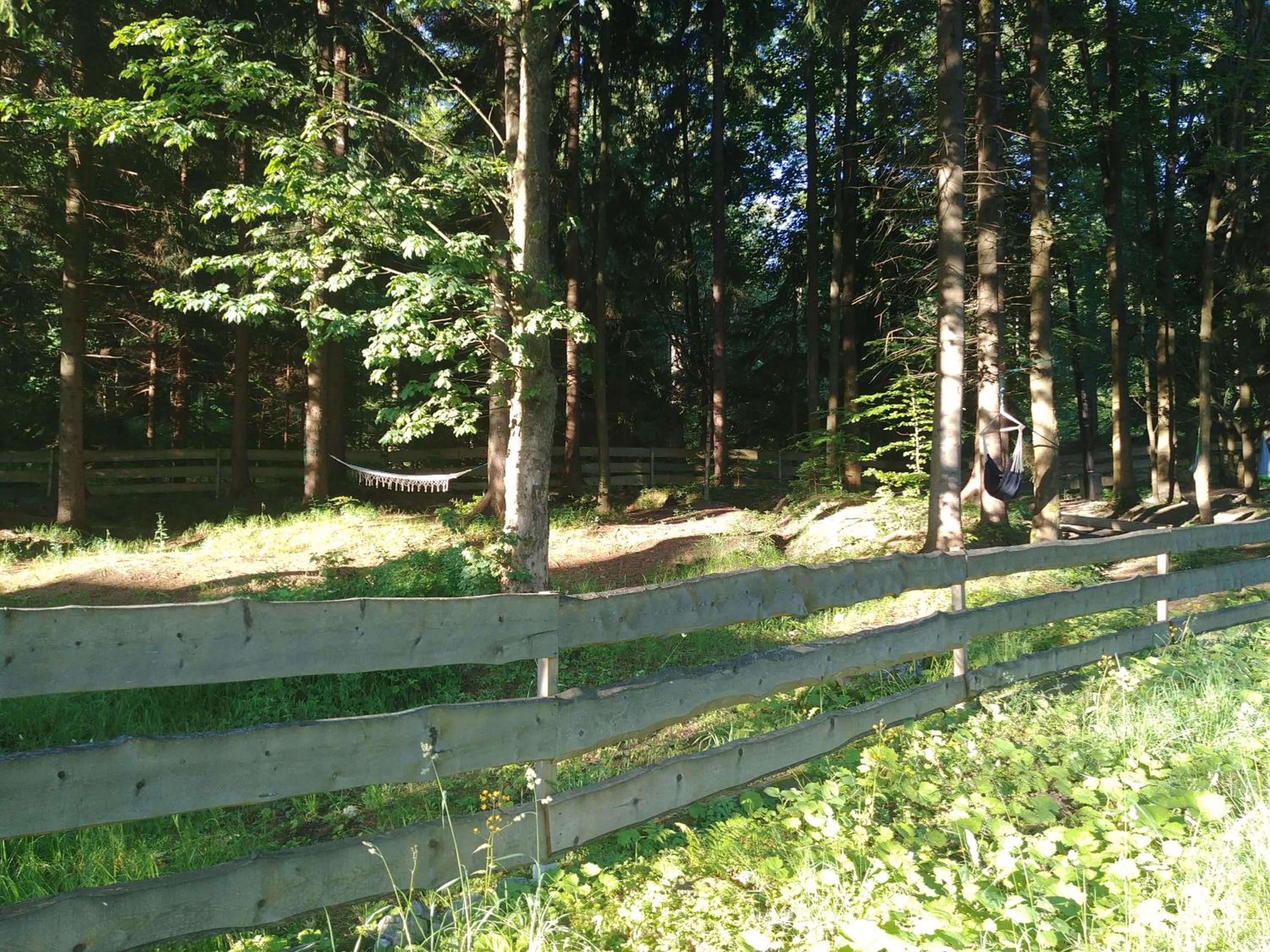 Leśne Apartamenty