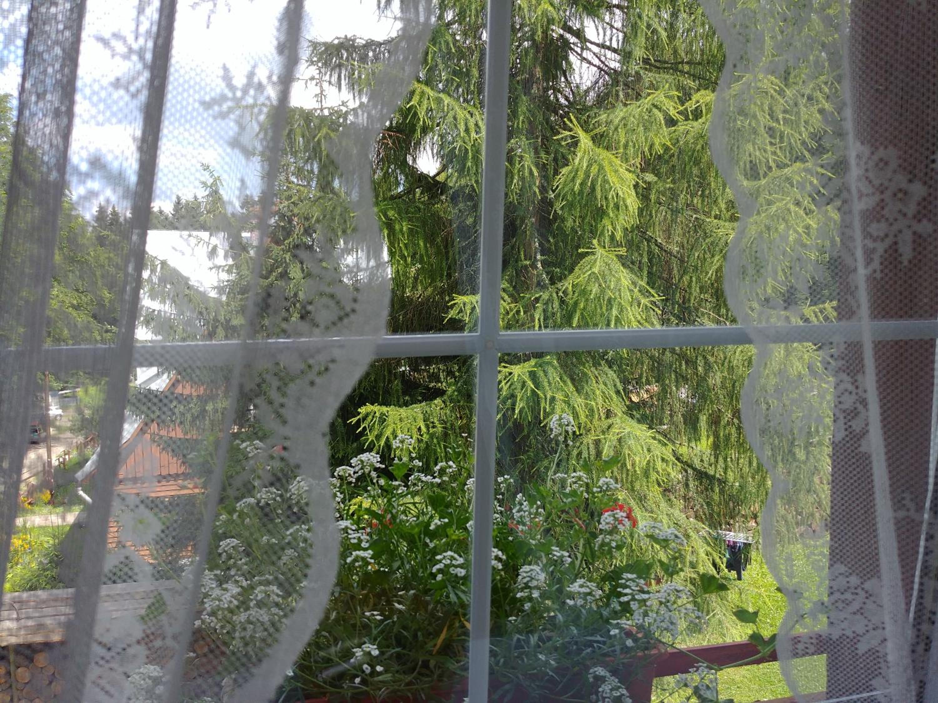 Leśne Apartamenty