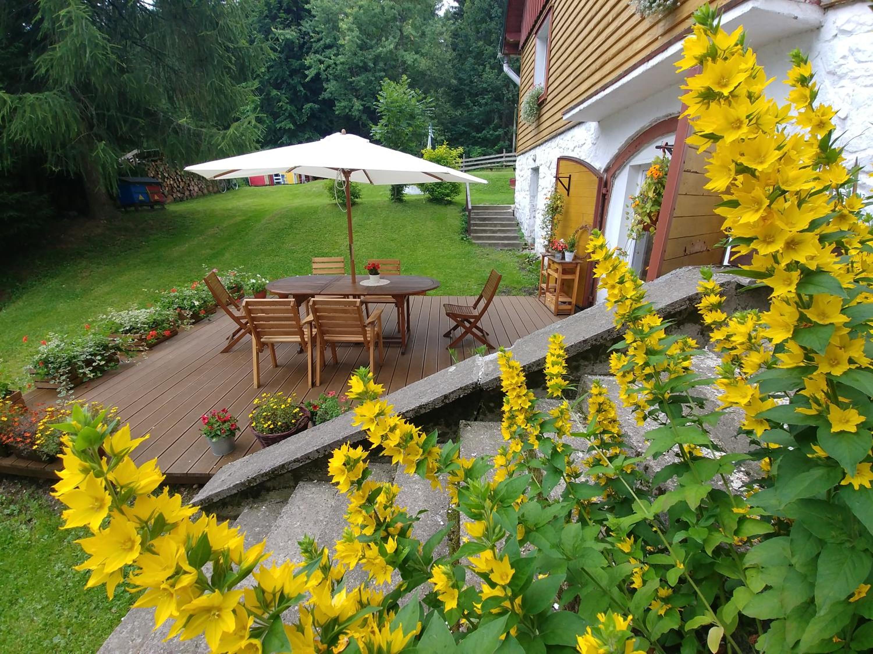 Leśne Apartamenty