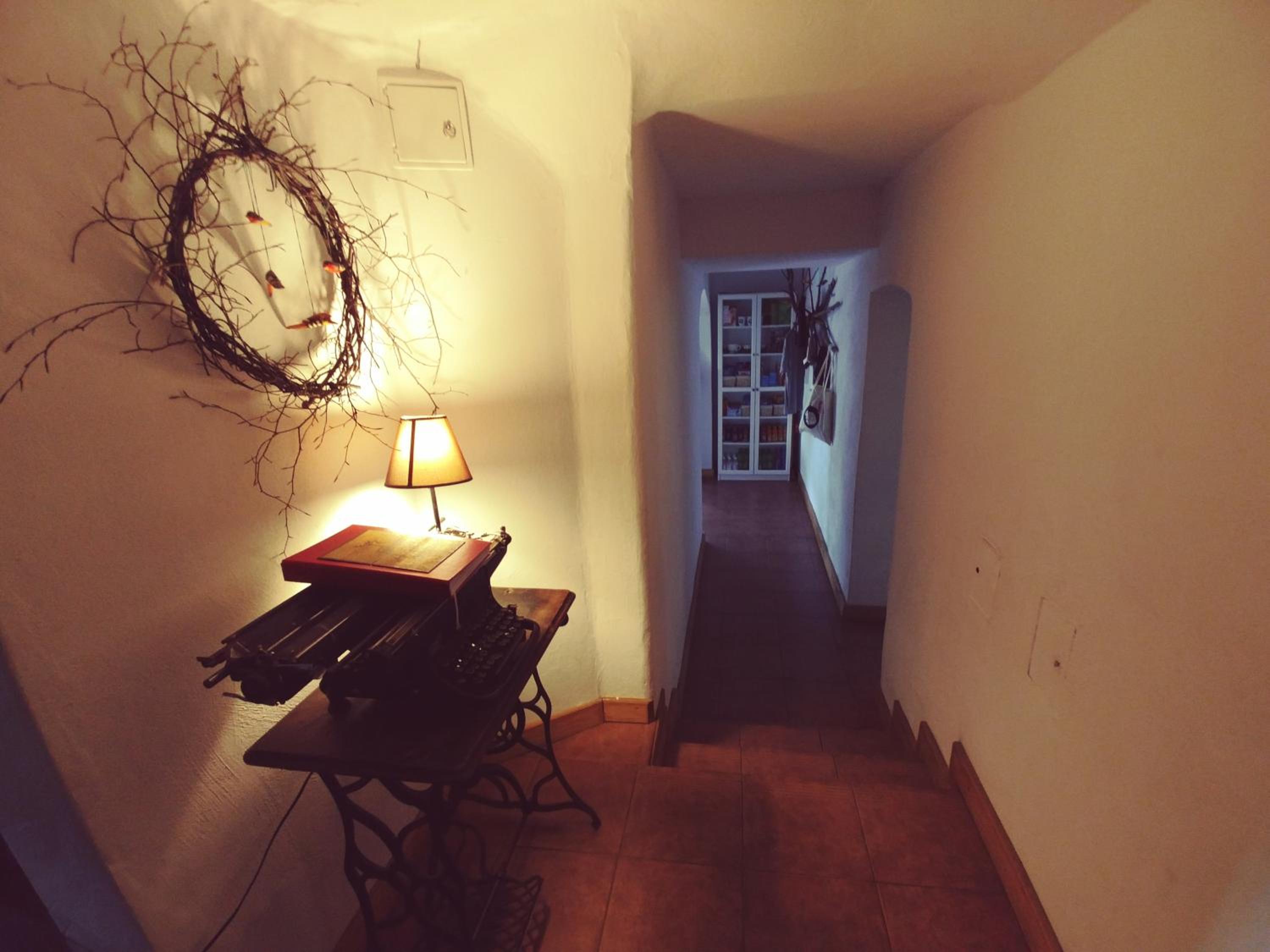 Leśne Apartamenty