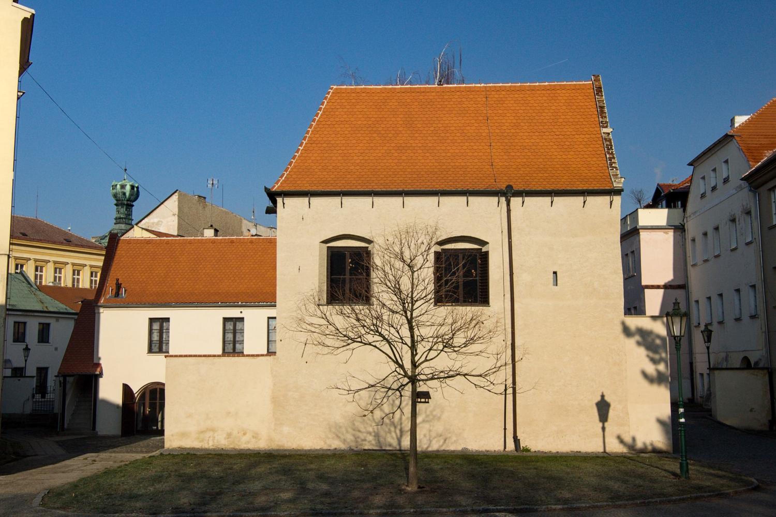 Photo 21