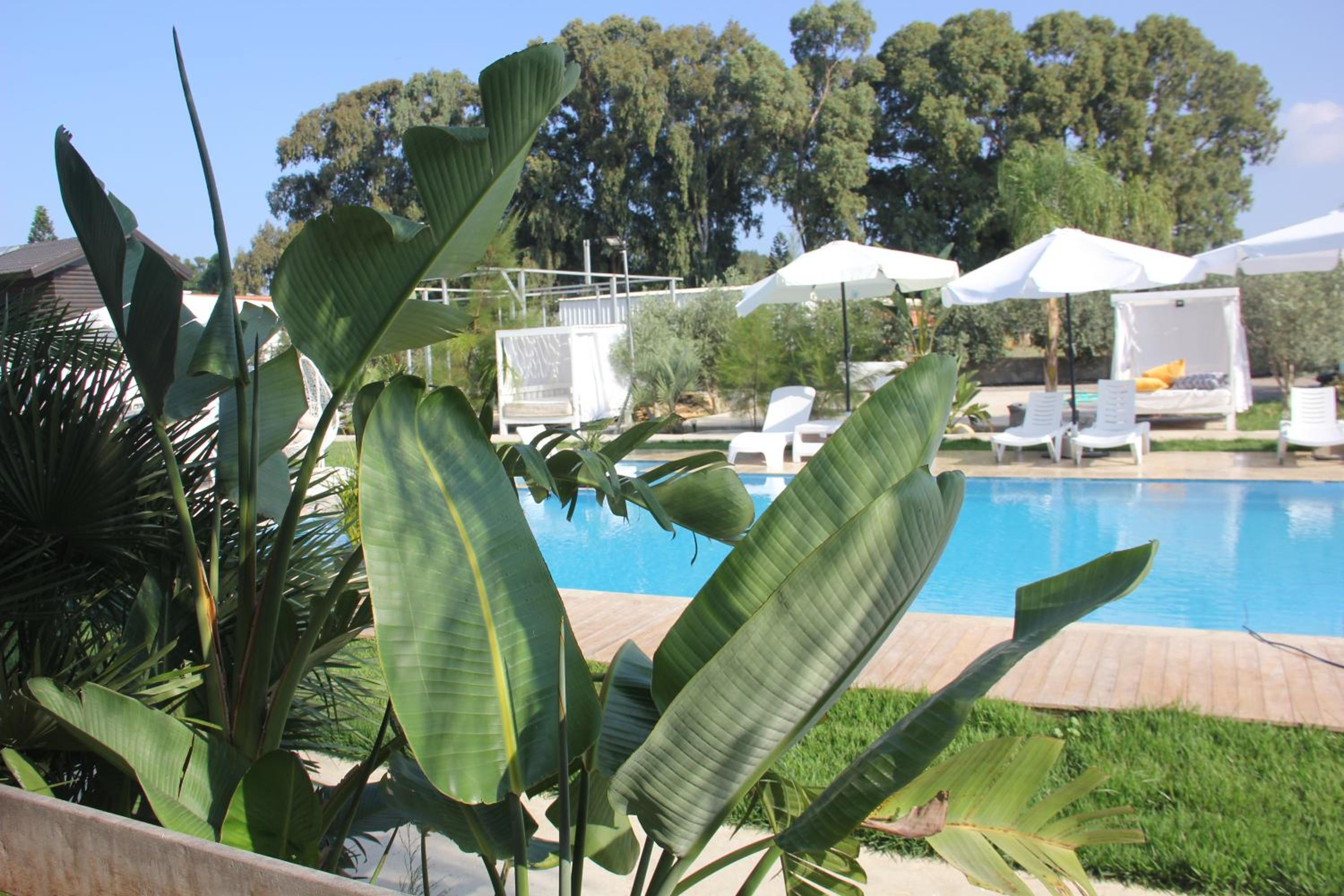 Photo 26