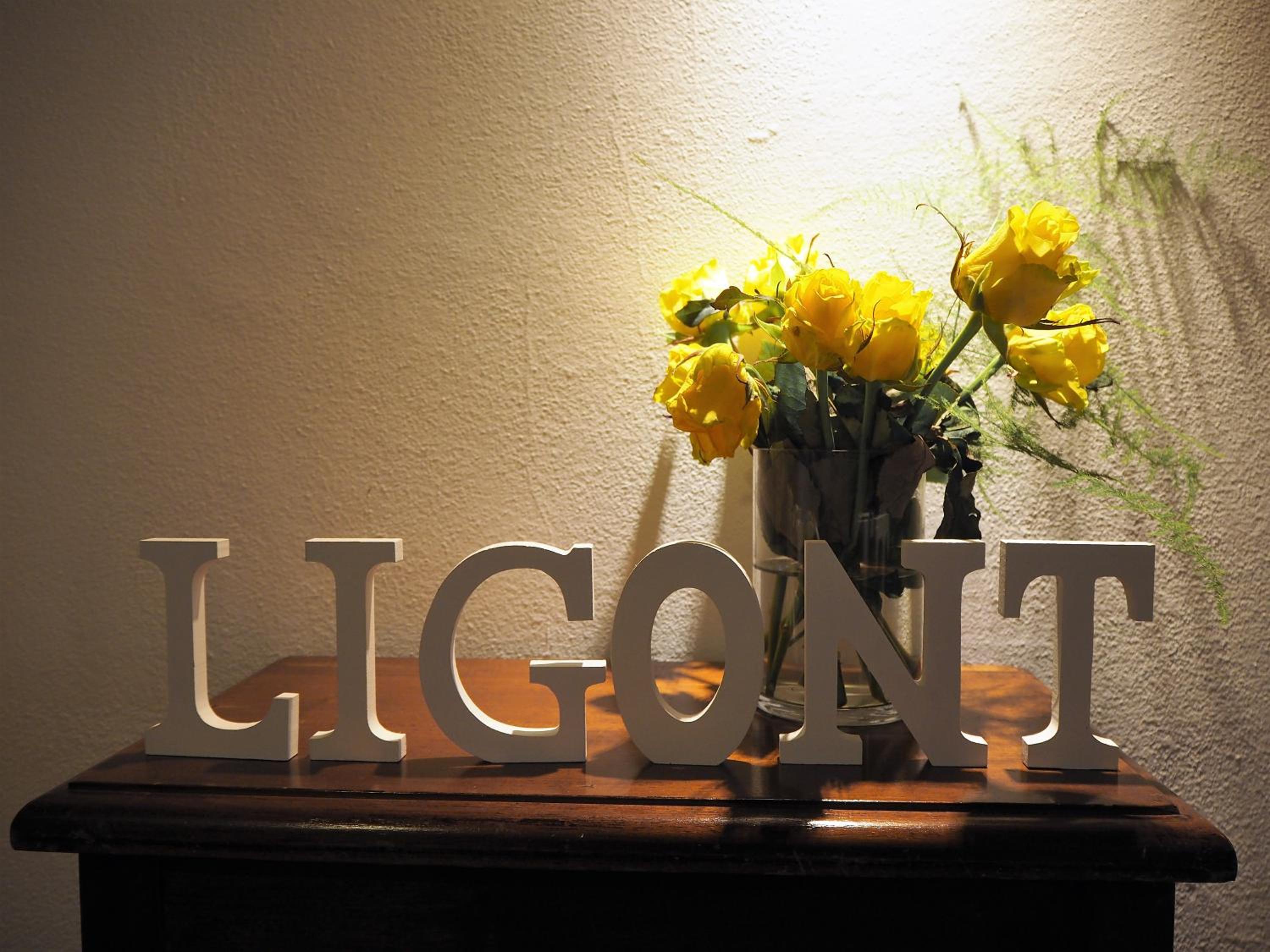 Bed & Breakfast Ligont view 4