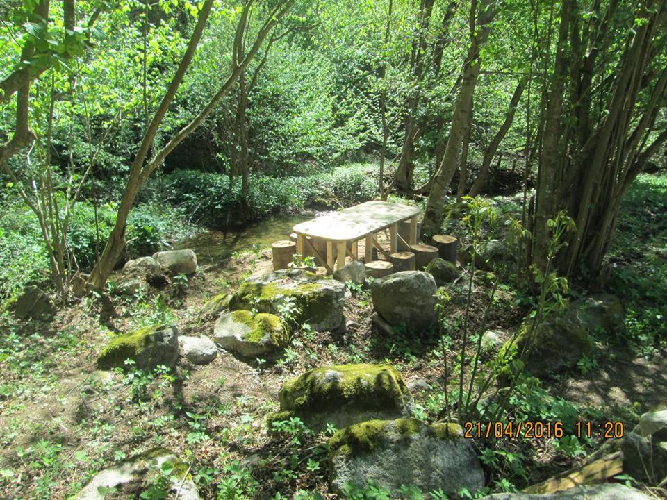 Vila Idila view 5