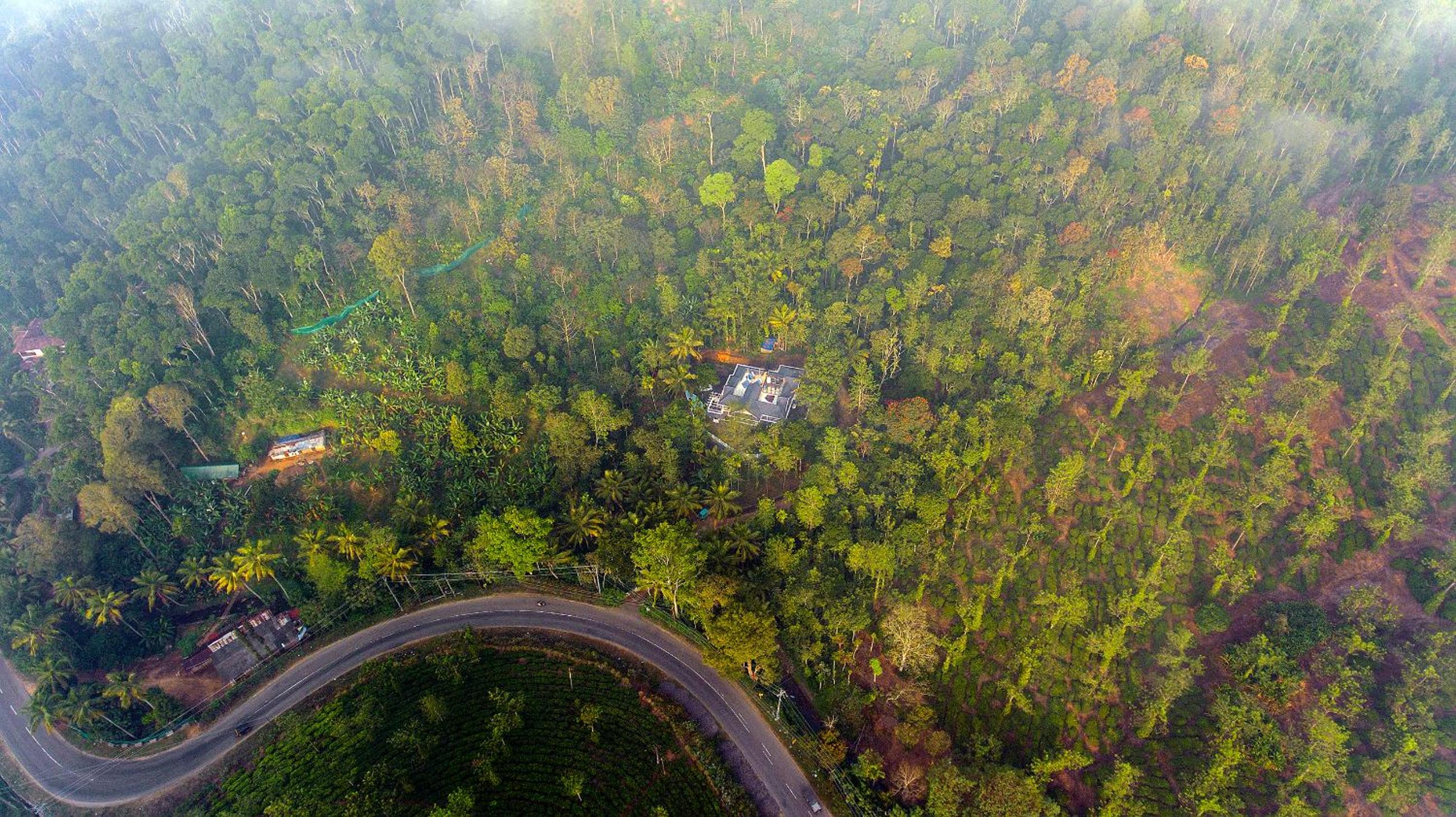 Alencherry plantation homestay view 4
