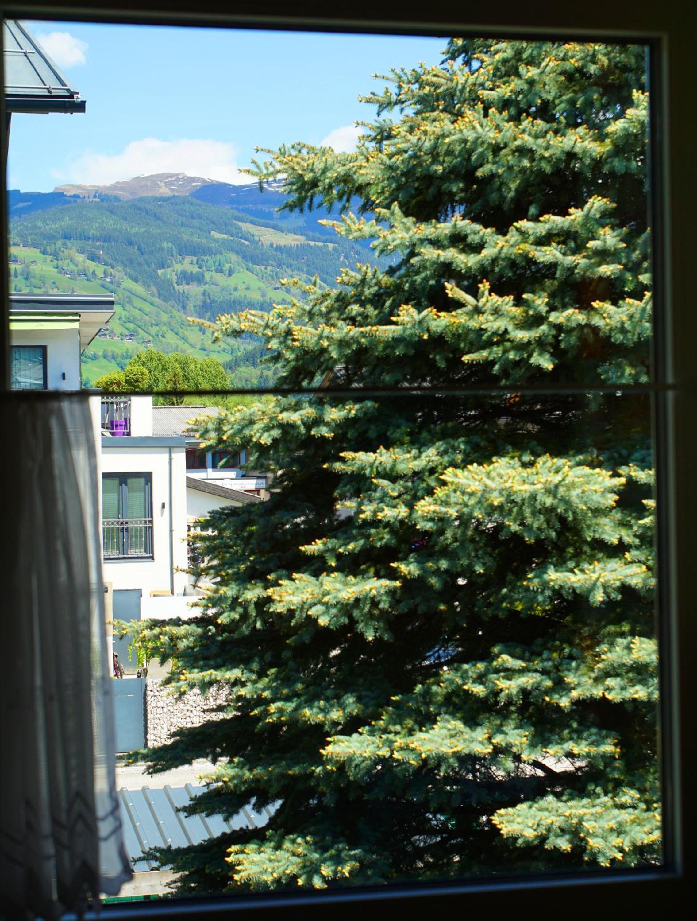 Photo 44