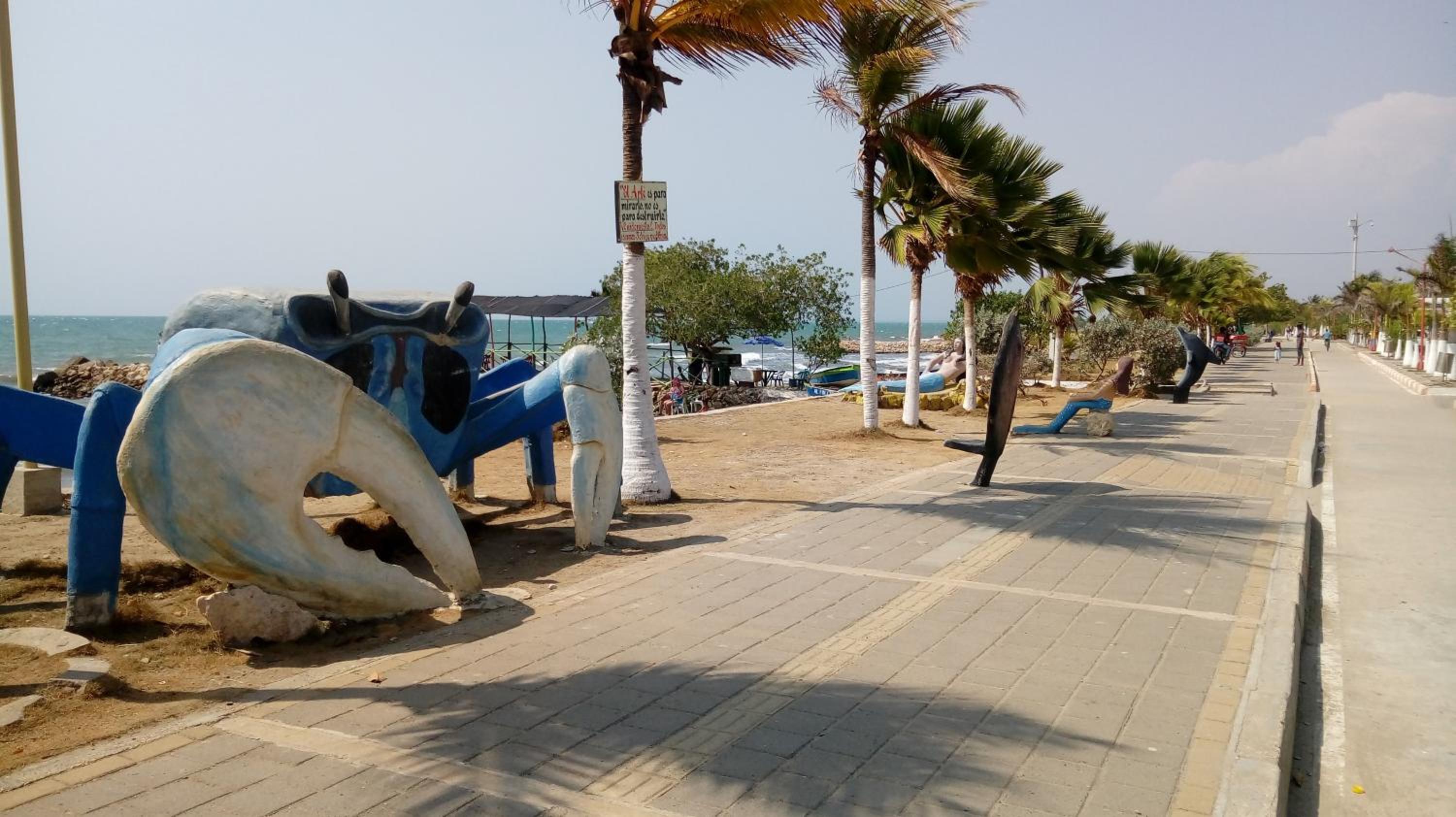 Oasis de Tolú