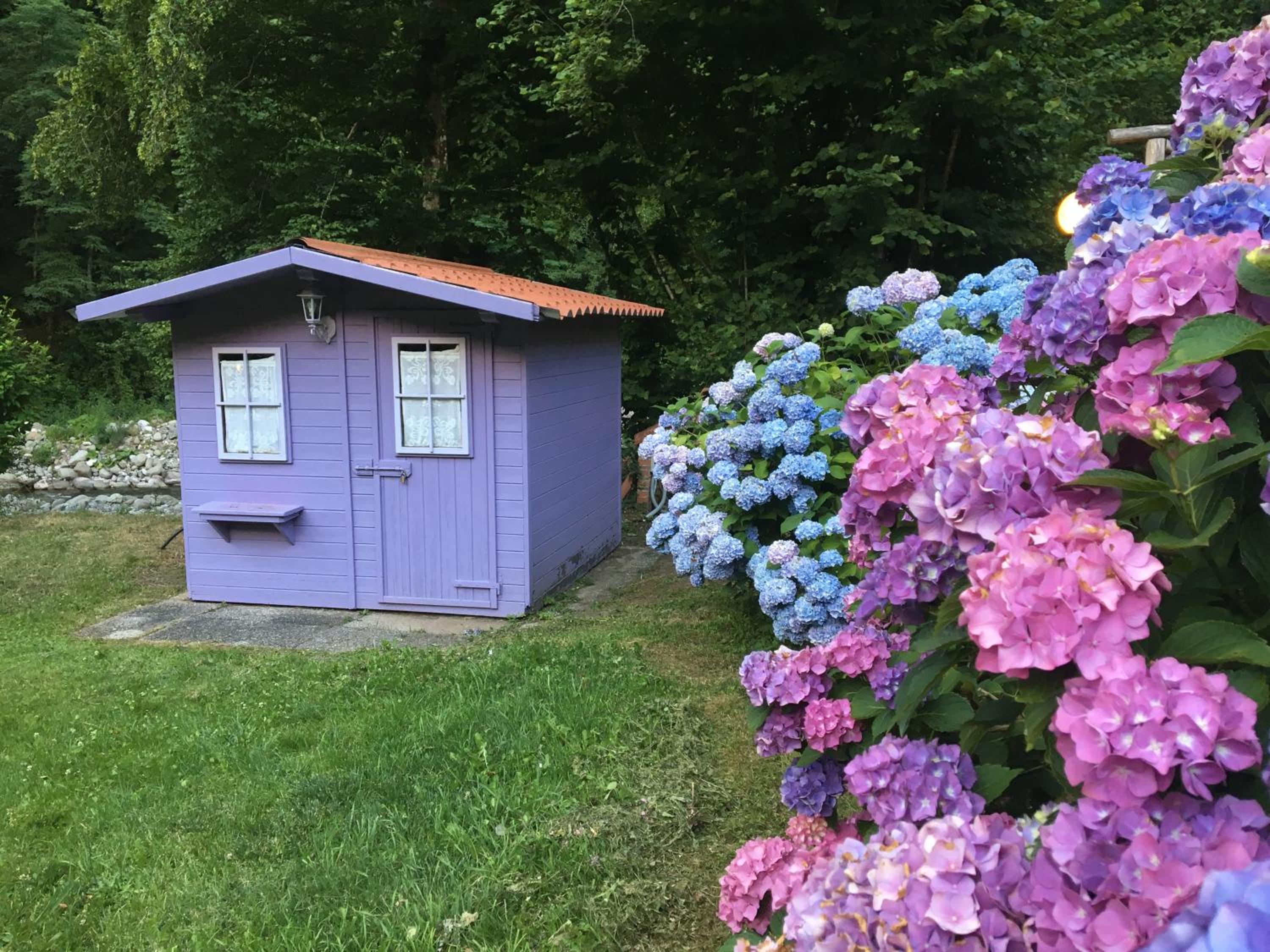 Relax totale nel Bosco Lucca