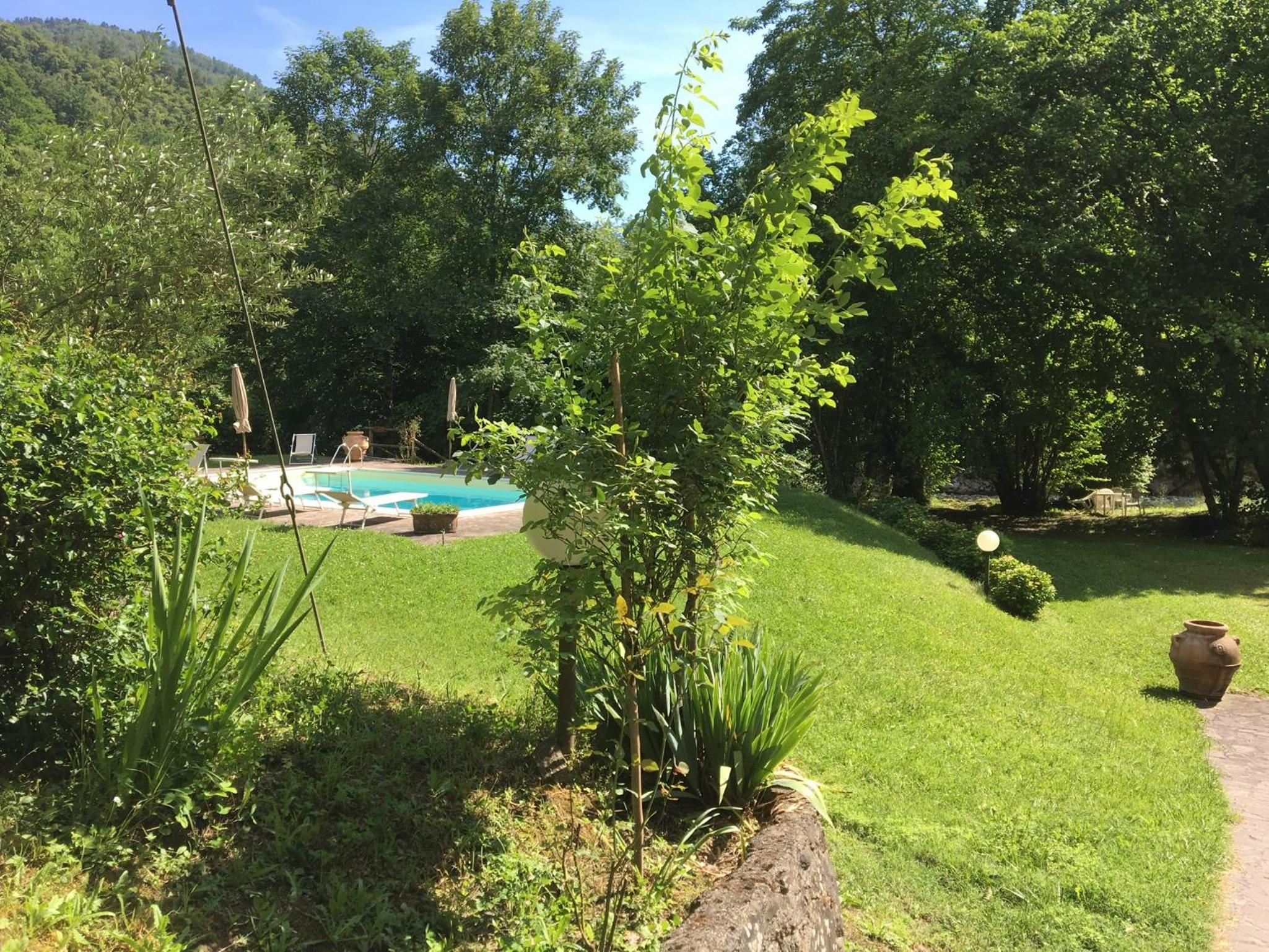 Photo 46